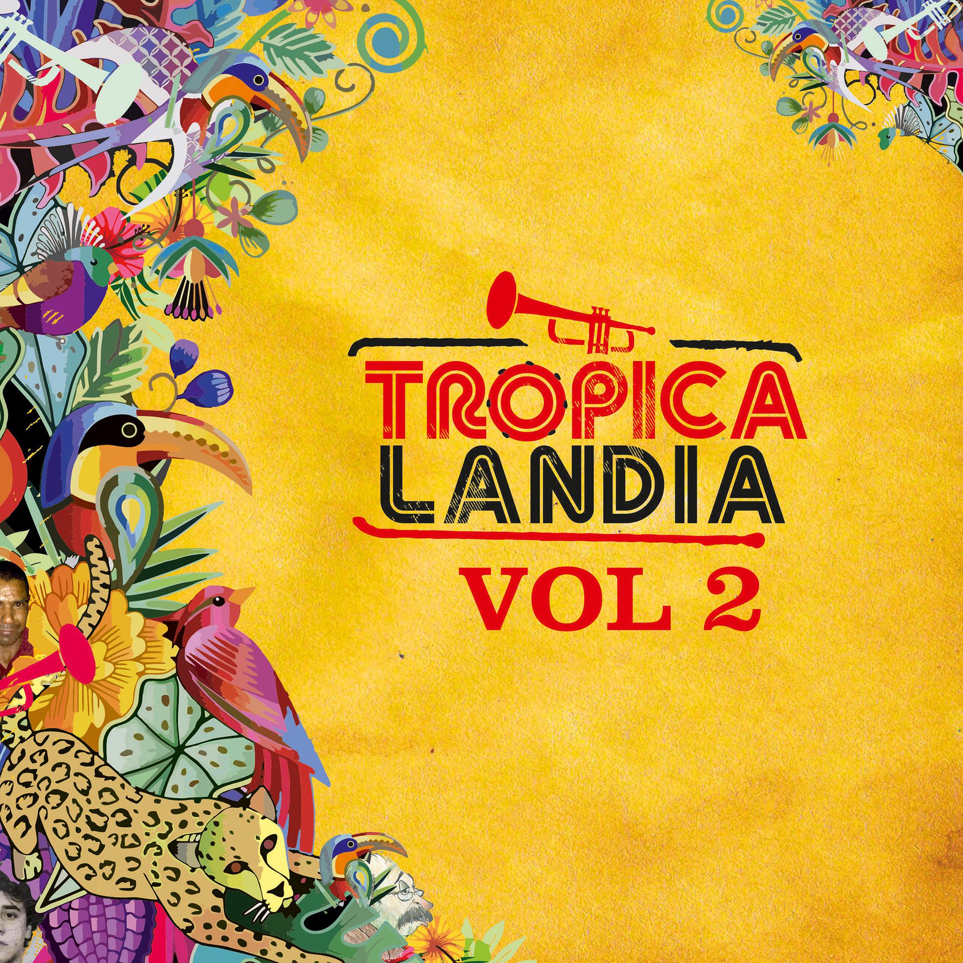 Постер альбома Tropicalandia, Vol. II