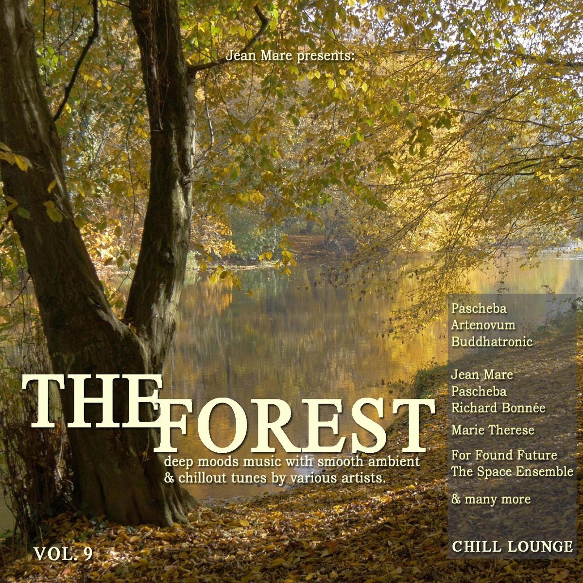 Постер альбома The Forest Chill Lounge, Vol. 9