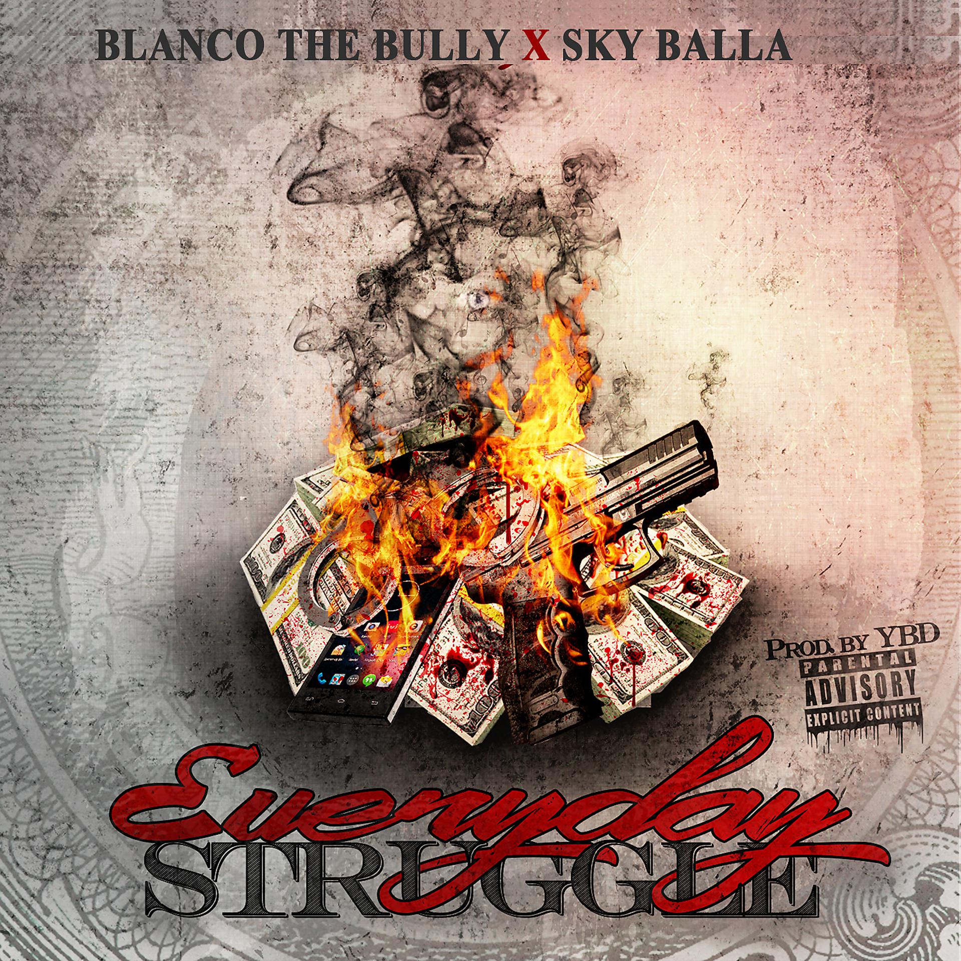 Постер альбома Everyday Struggle (feat. Sky Balla)