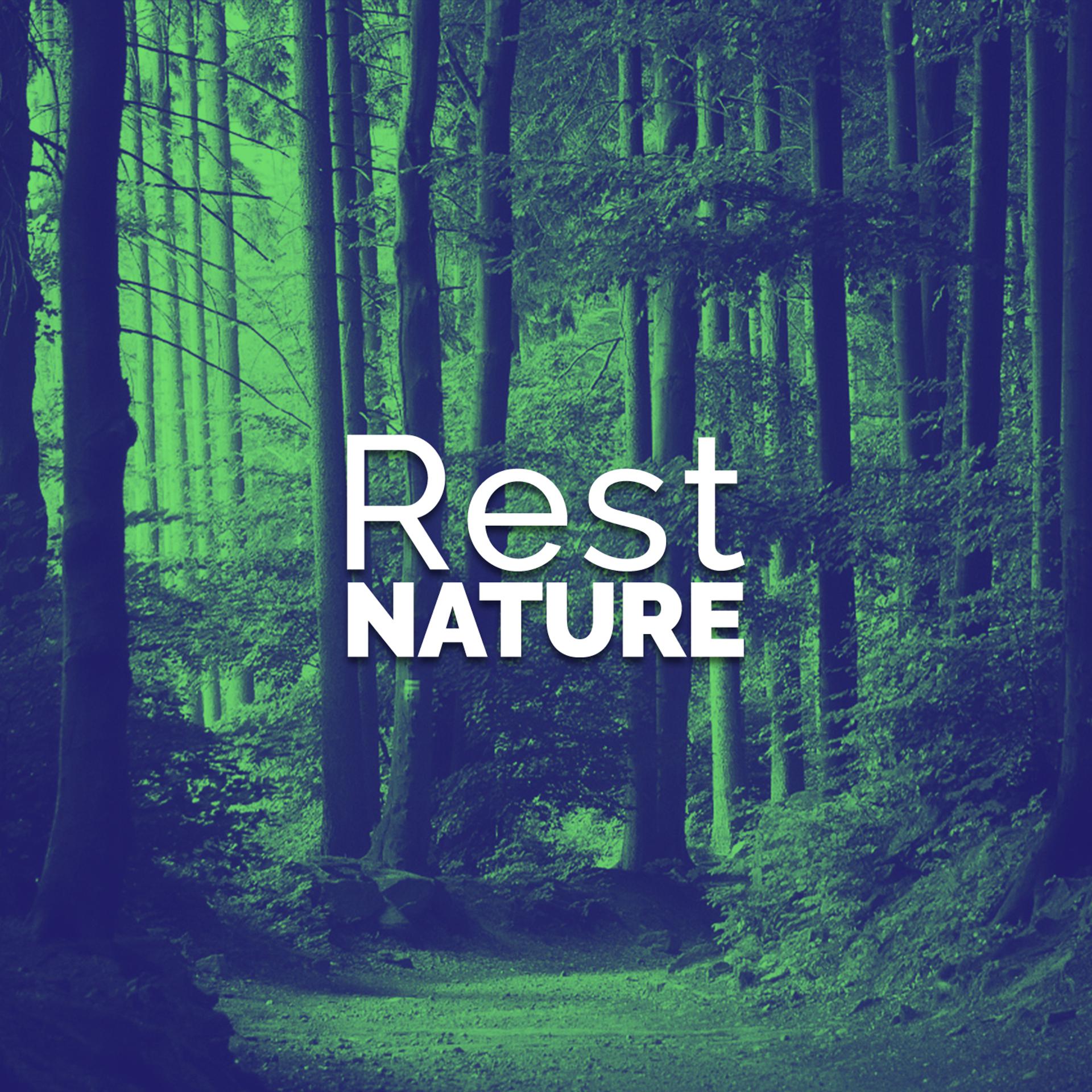 Постер альбома Rest: Nature