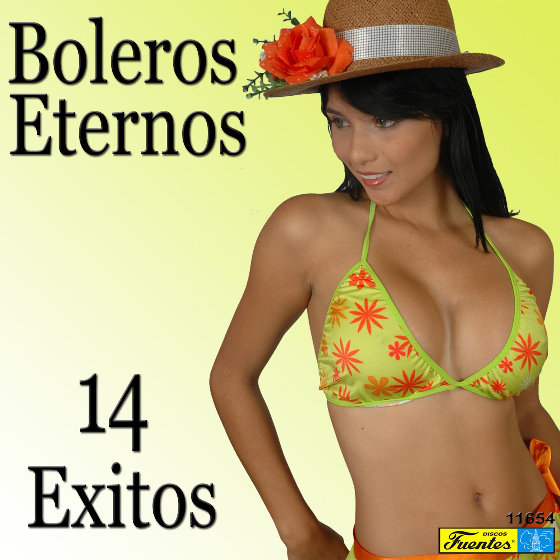 Постер альбома Boleros Eternos: 14 Éxitos