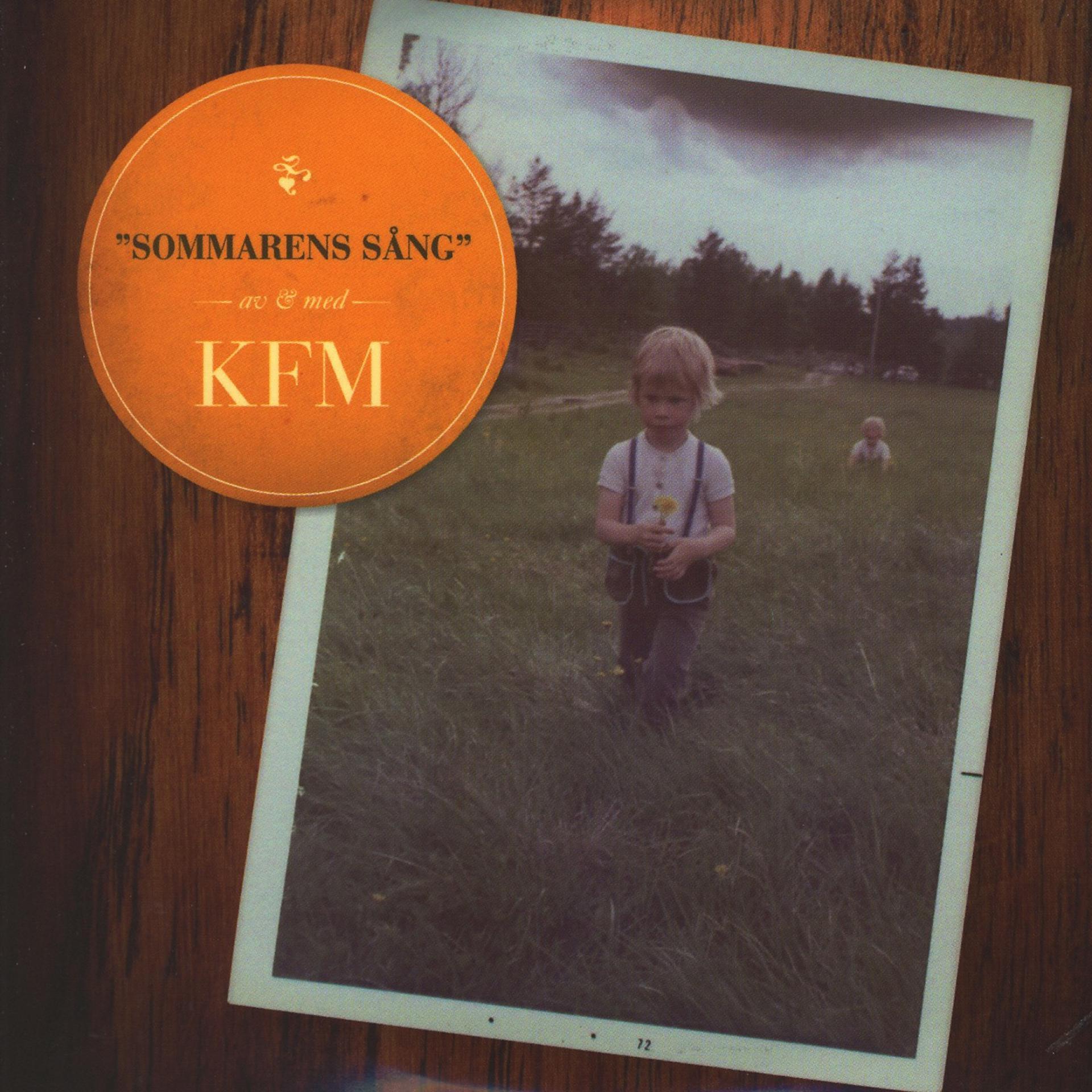 Постер альбома Sommarens Sång / En Gång Var (Single)