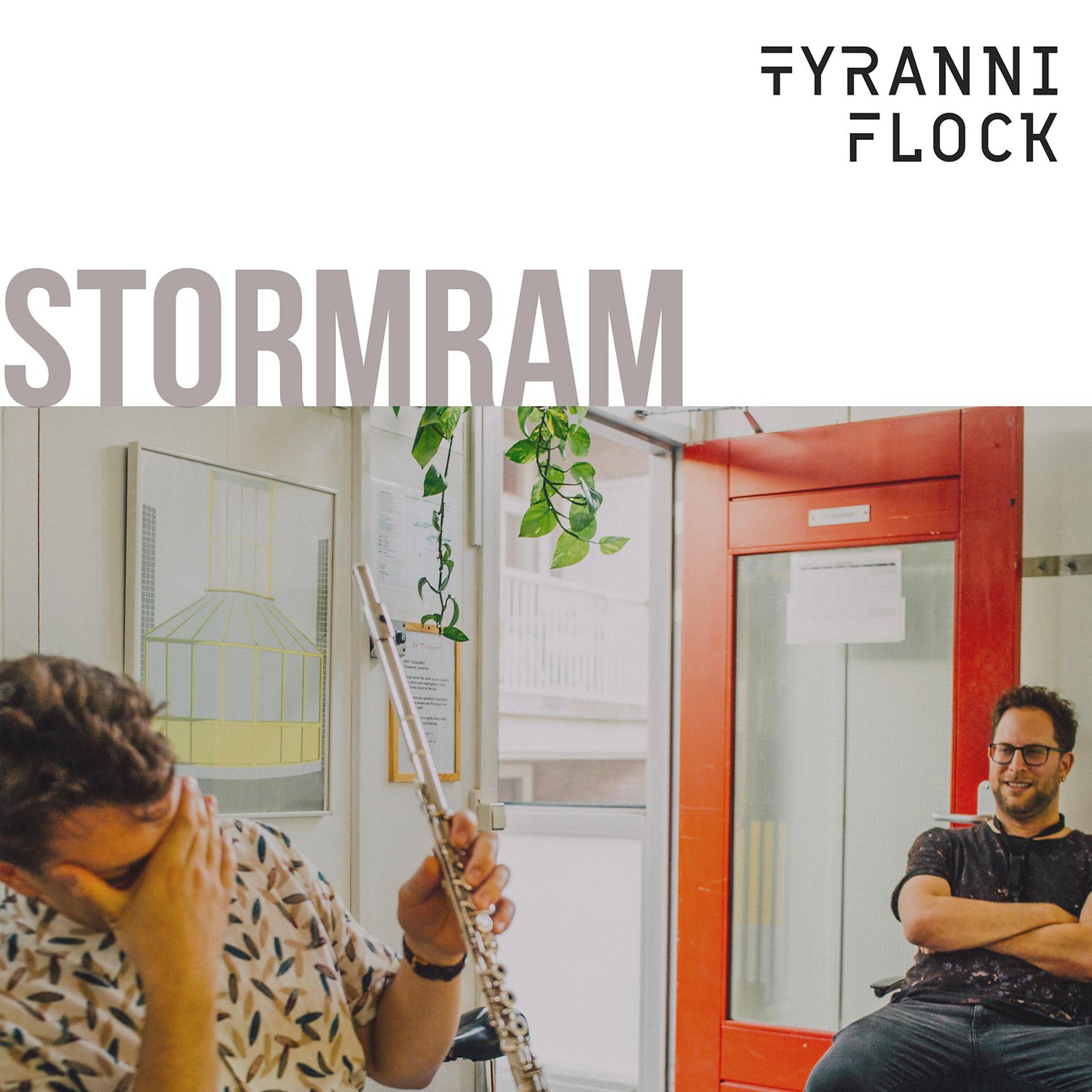 Постер альбома Stormram