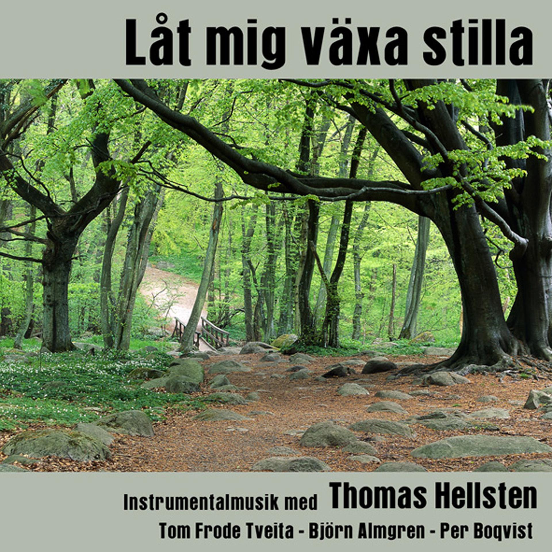 Постер альбома Låt mig växa stilla