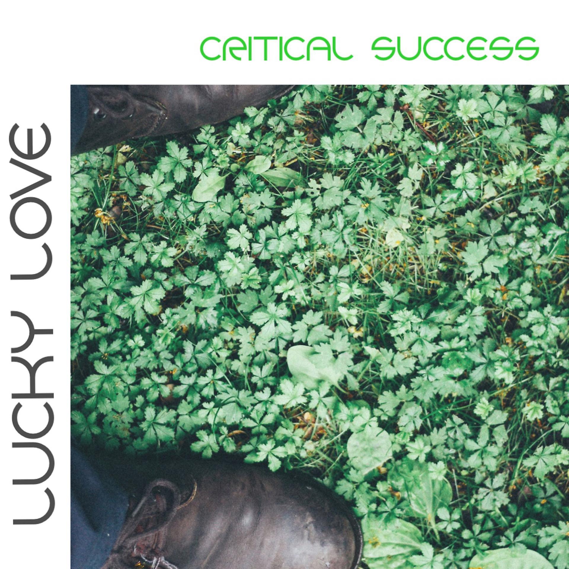 Постер альбома Critical Success