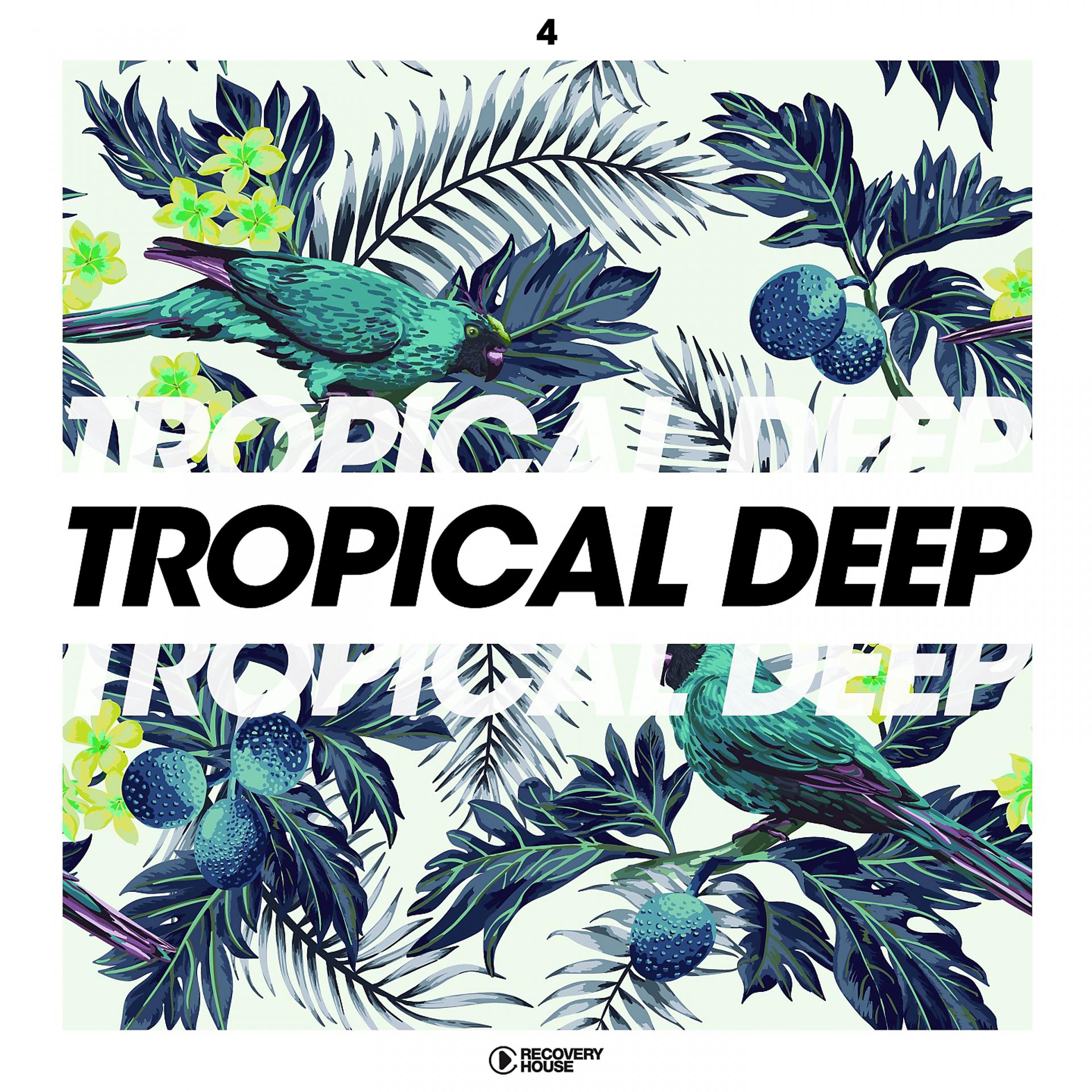 Постер альбома Tropical Deep, Vol. 4