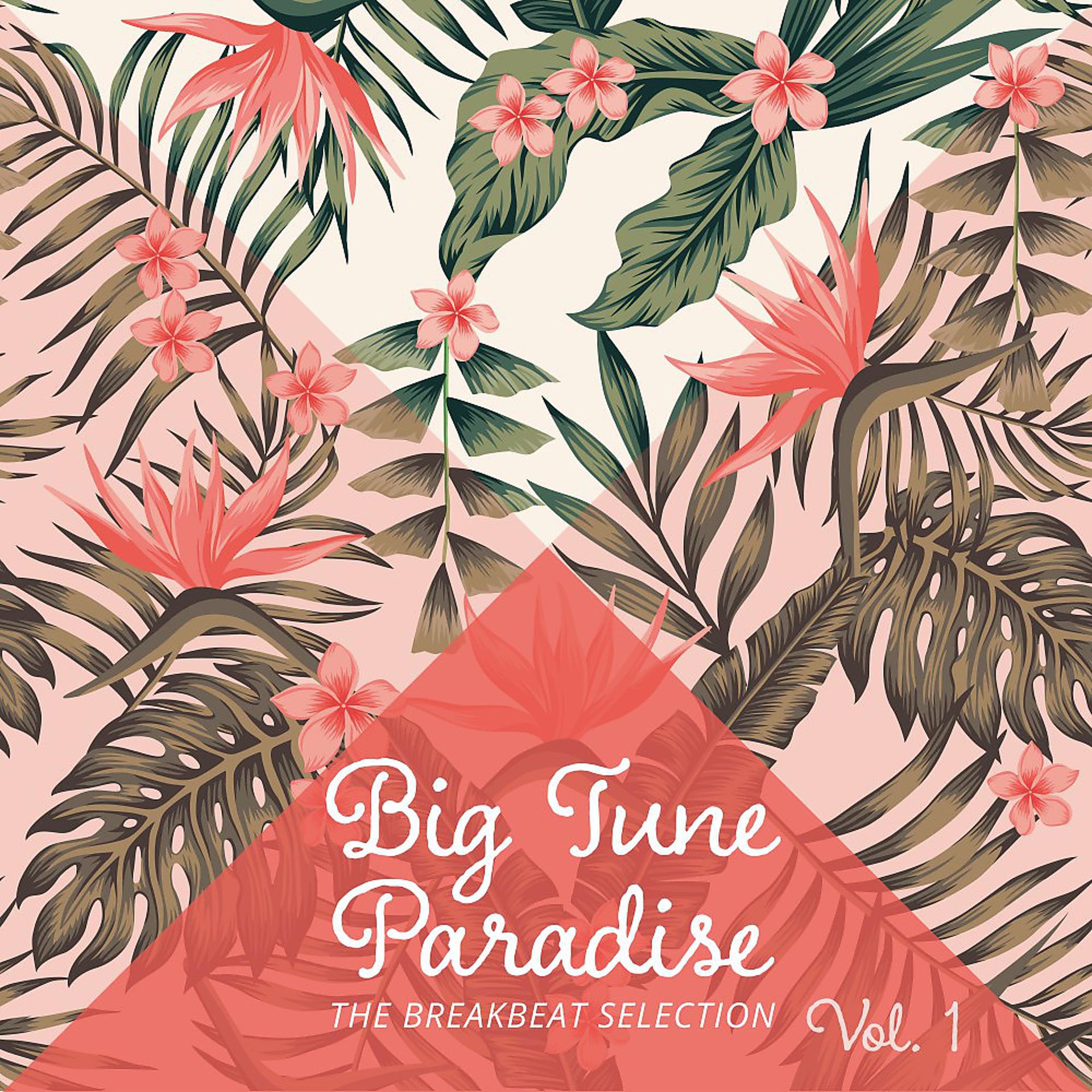 Постер альбома Big Tune Paradise - The Breakbeat Selection, Vol. 1