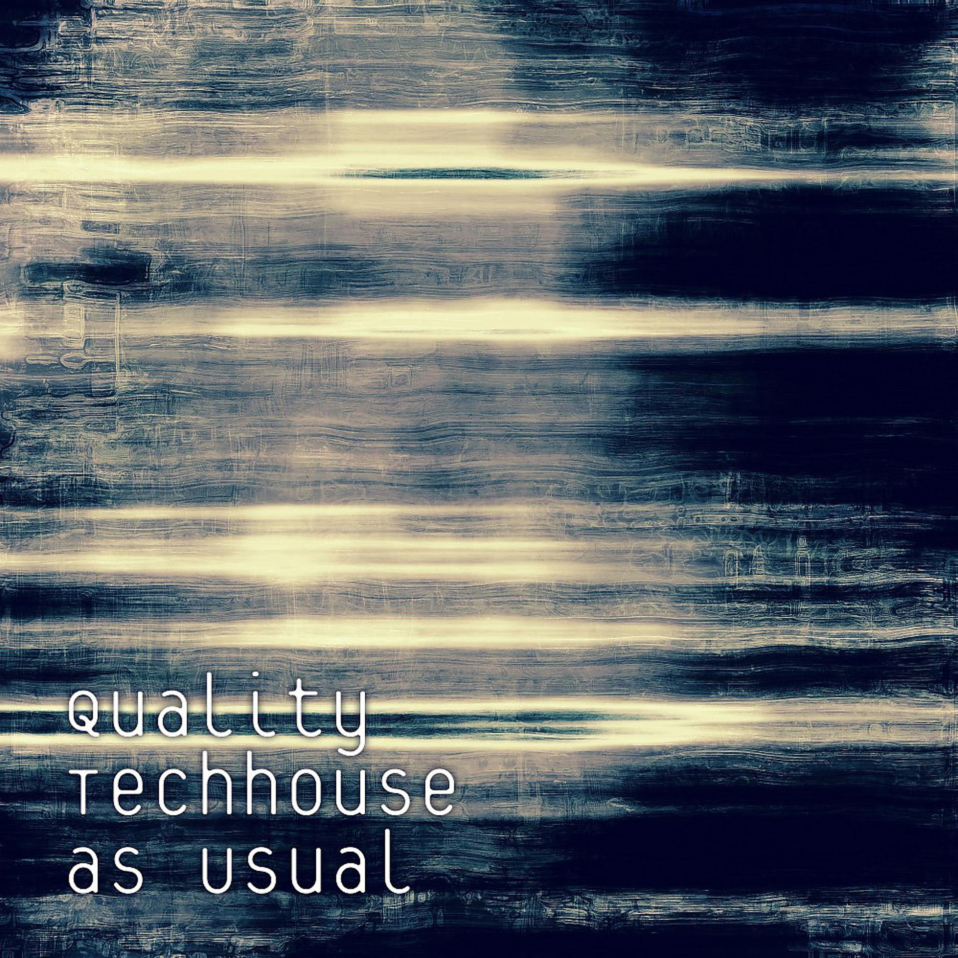 Постер альбома Quality Techhouse as Usual