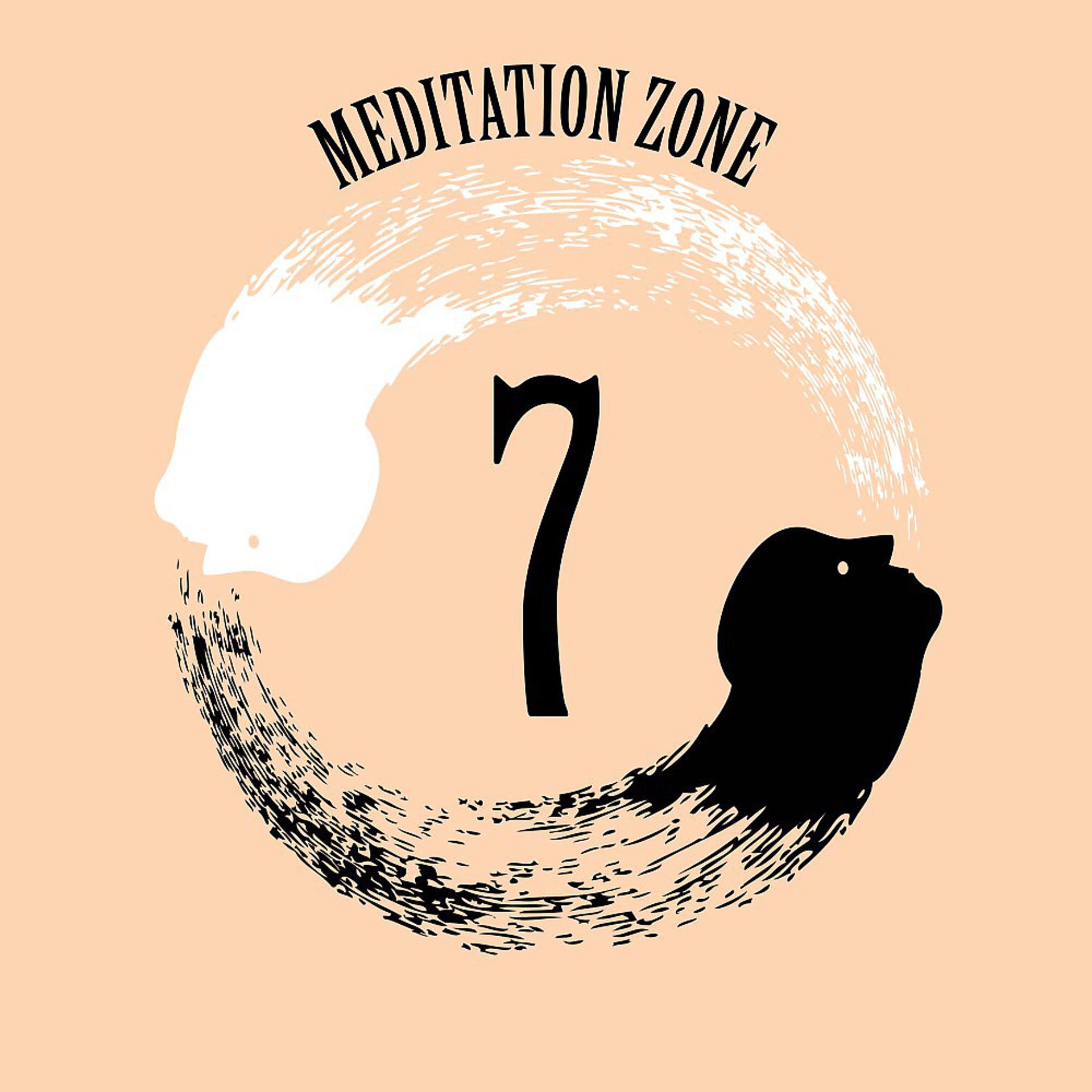 Постер альбома Meditation Zone 7