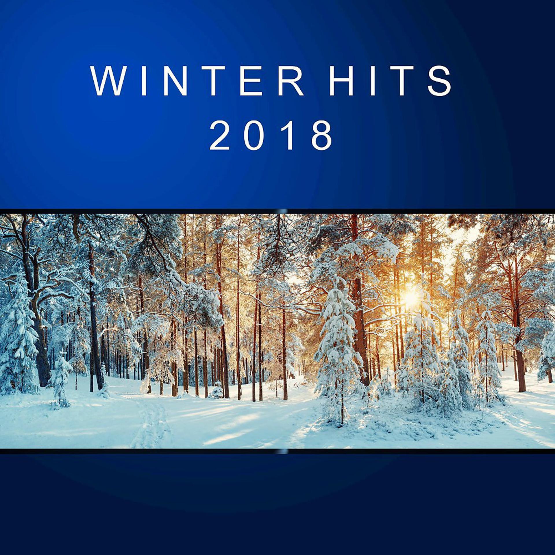 Постер альбома Winter Hits 2018