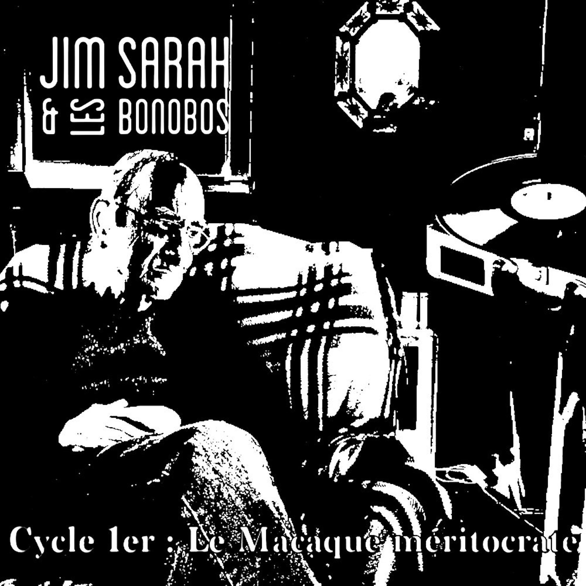 Постер альбома Cycle 1er : Le Macaque méritocrate