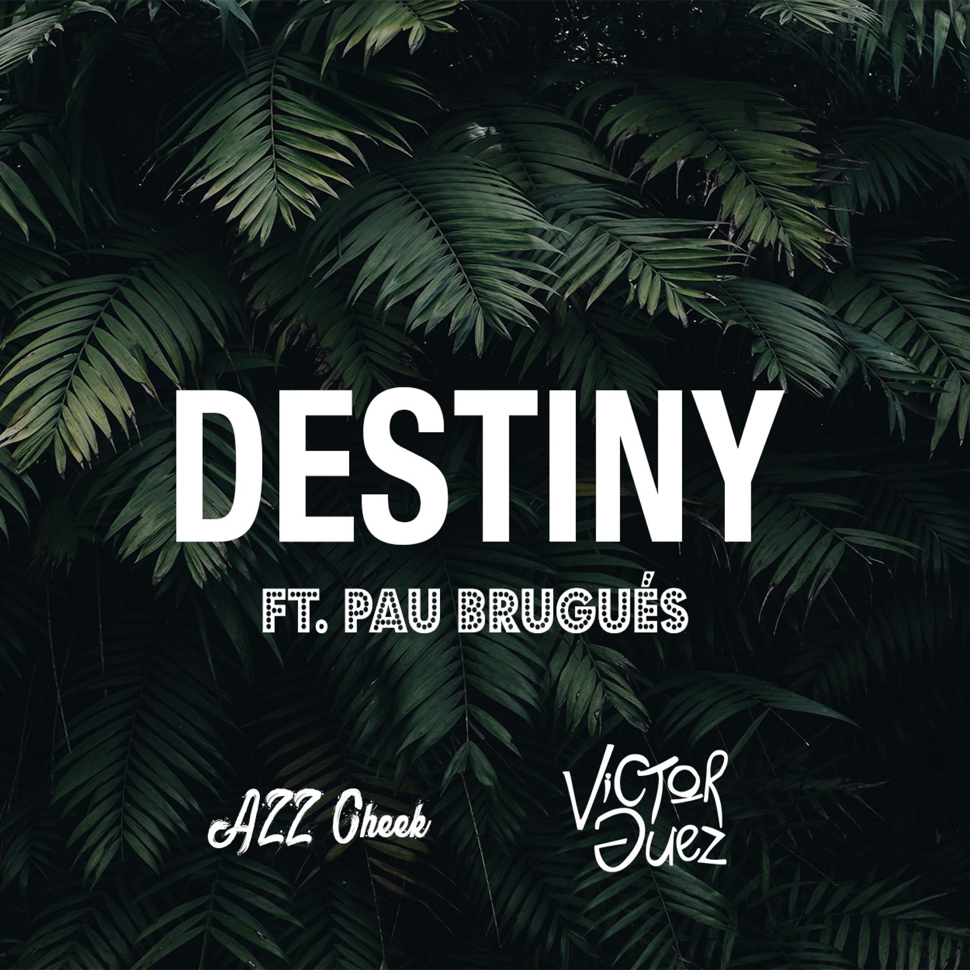Постер альбома Destiny (feat. Pau Brugués)