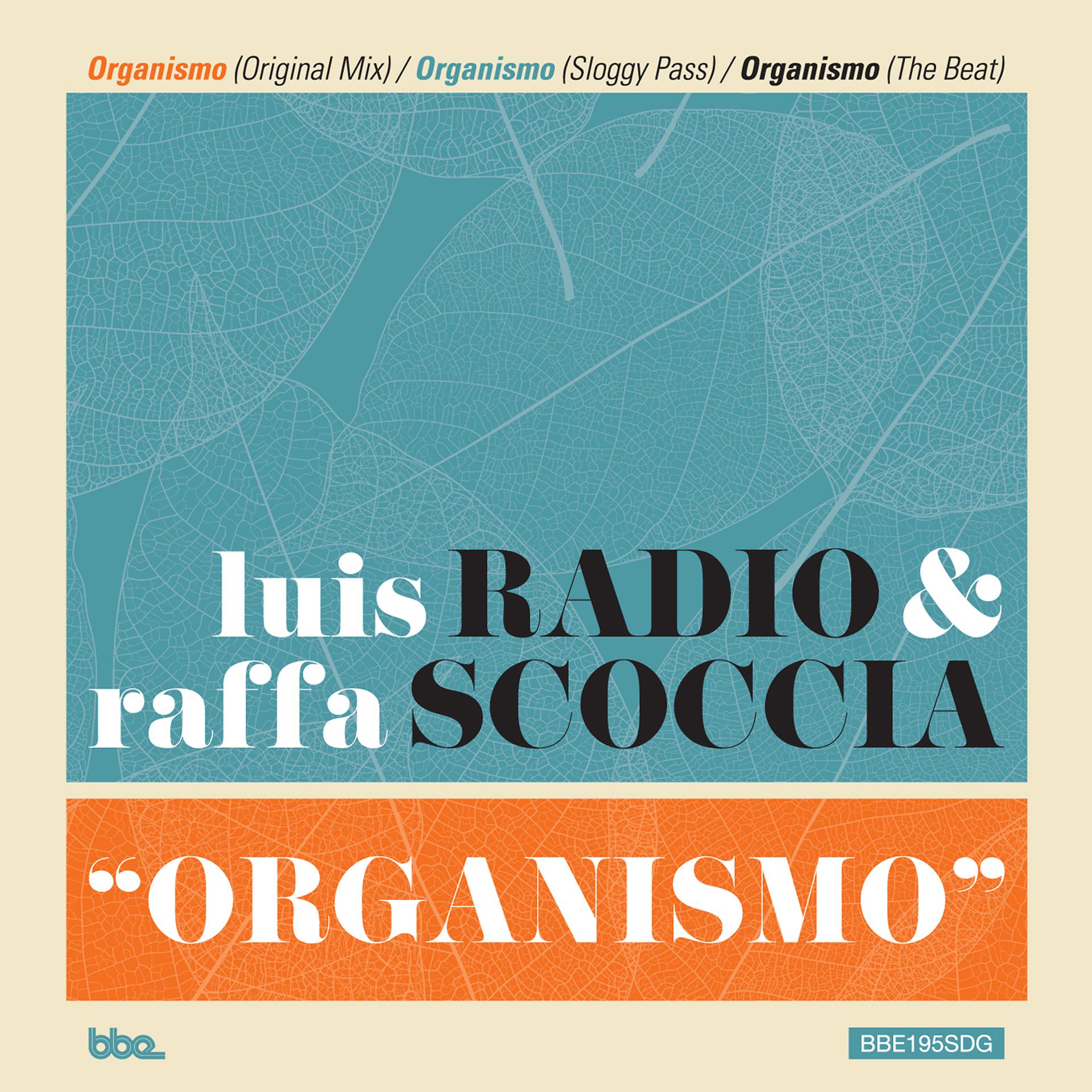 Постер альбома Organismo