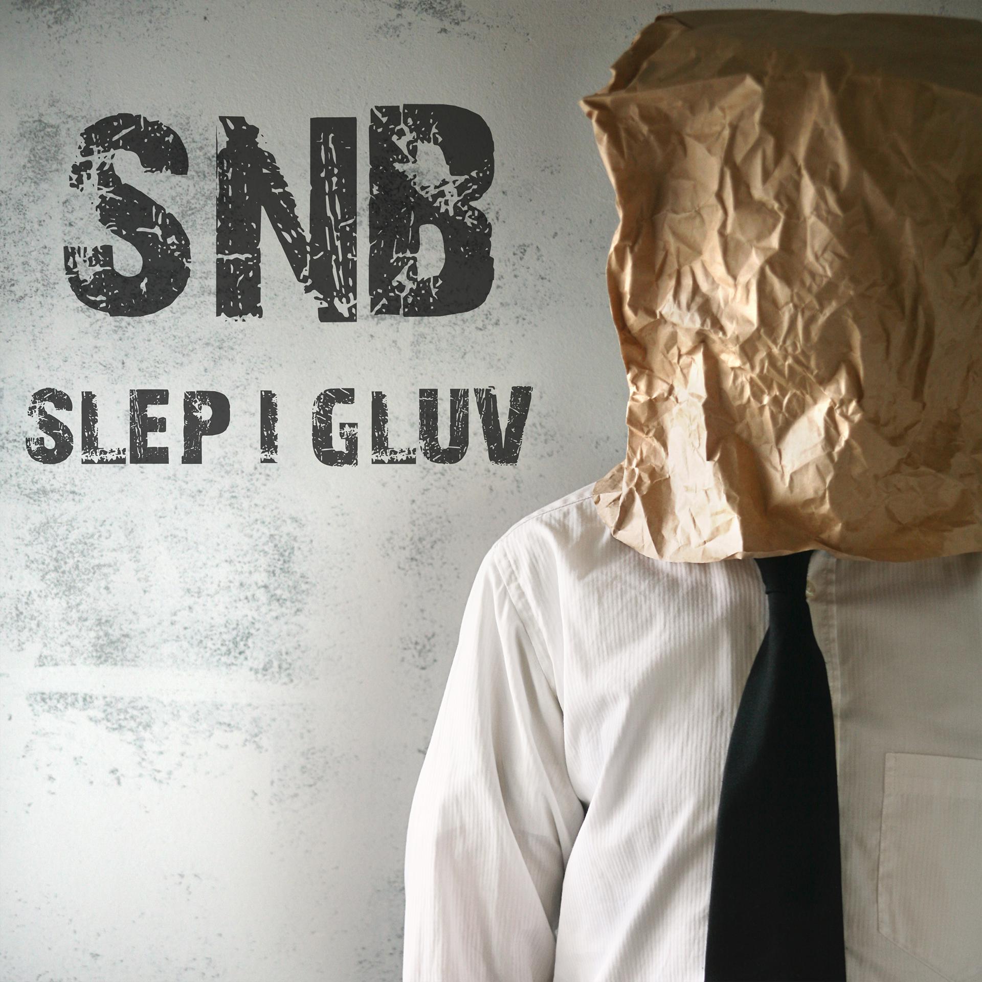 Постер альбома Slep I Gluv