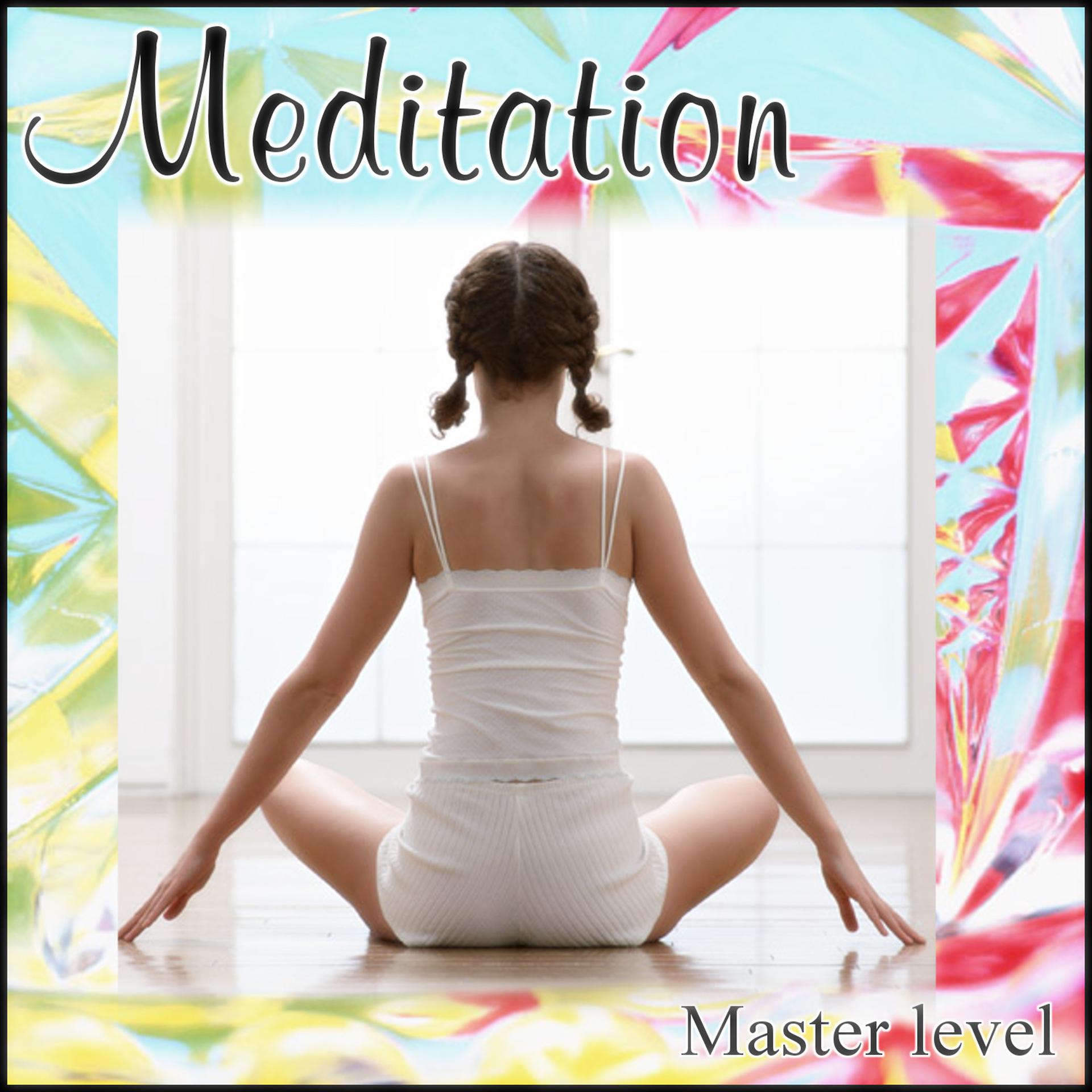 Постер альбома Meditation Master Level