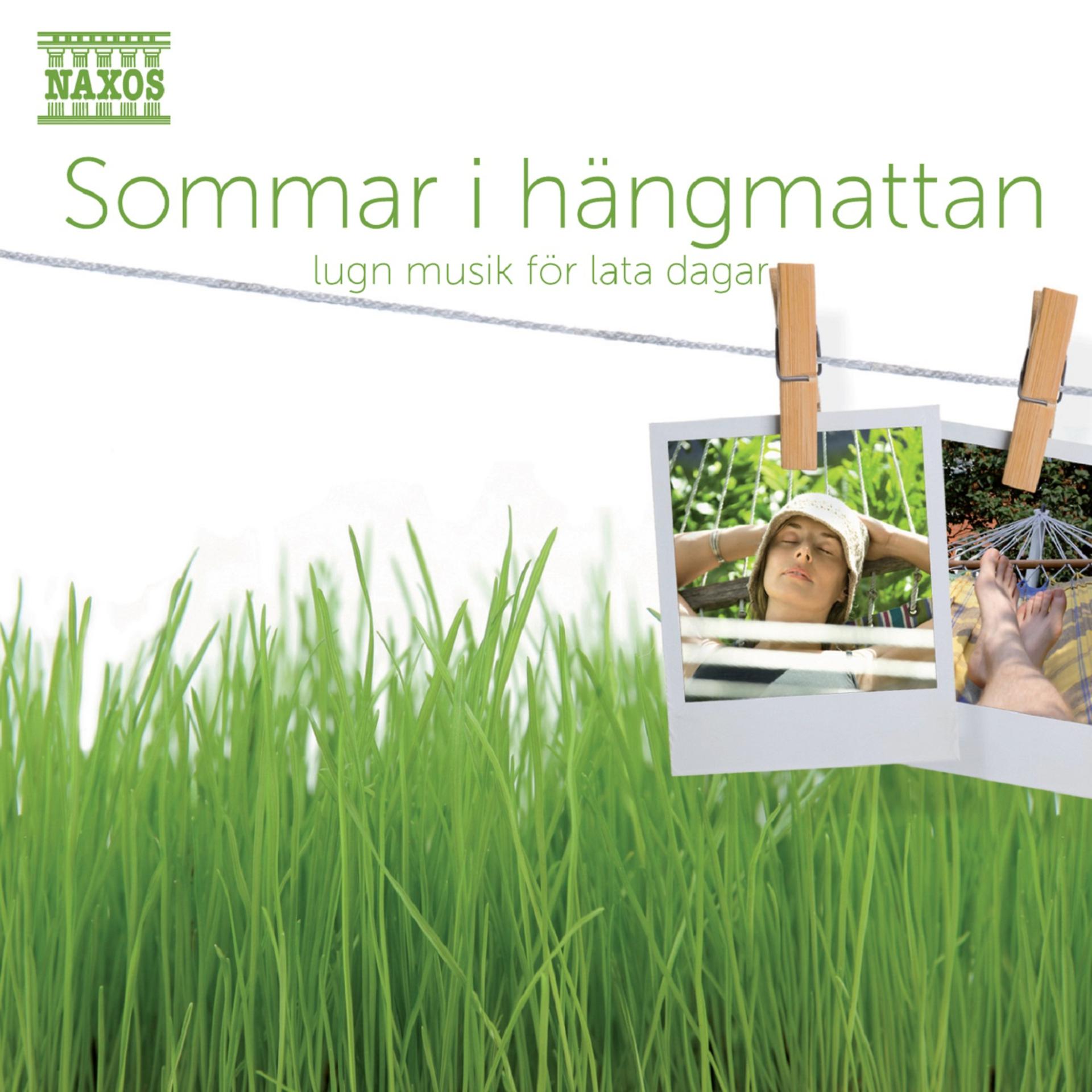 Постер альбома Sommar i hängmattan - Lugn musik för lata dagar