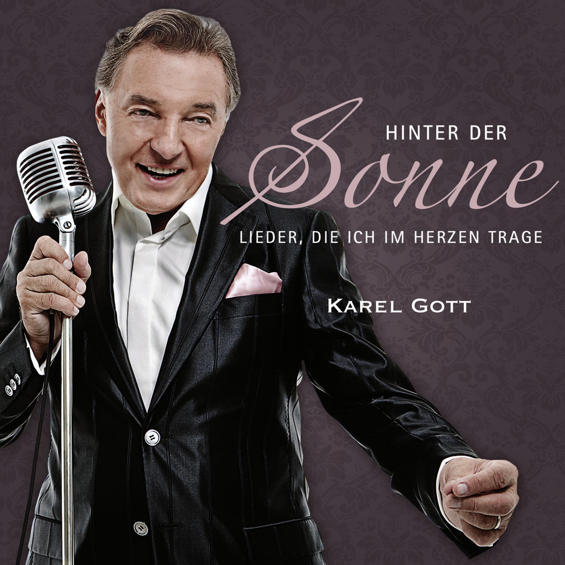 Постер альбома Hinter der Sonne - Lieder, die ich im Herzen trage