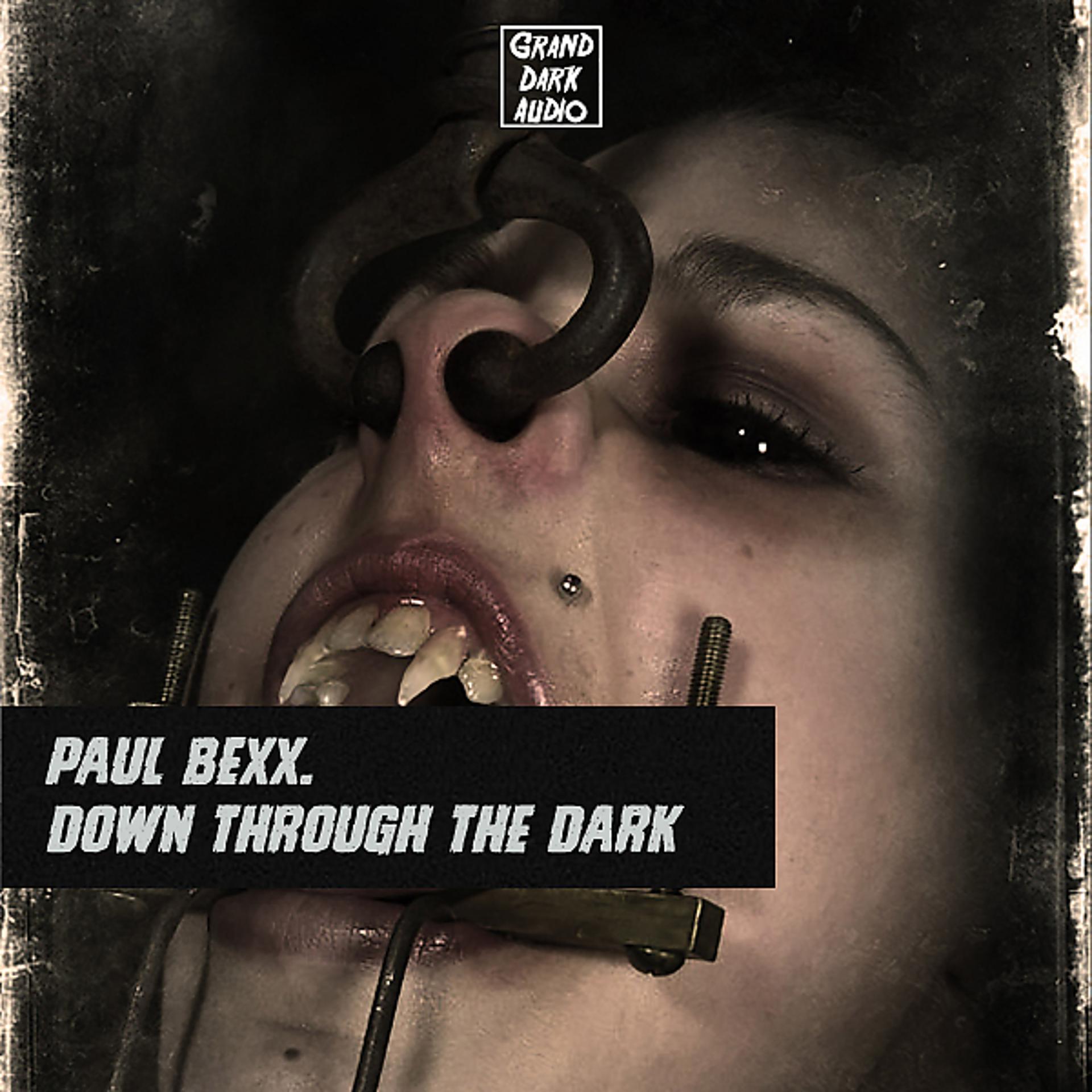 Постер альбома Down Through The Dark