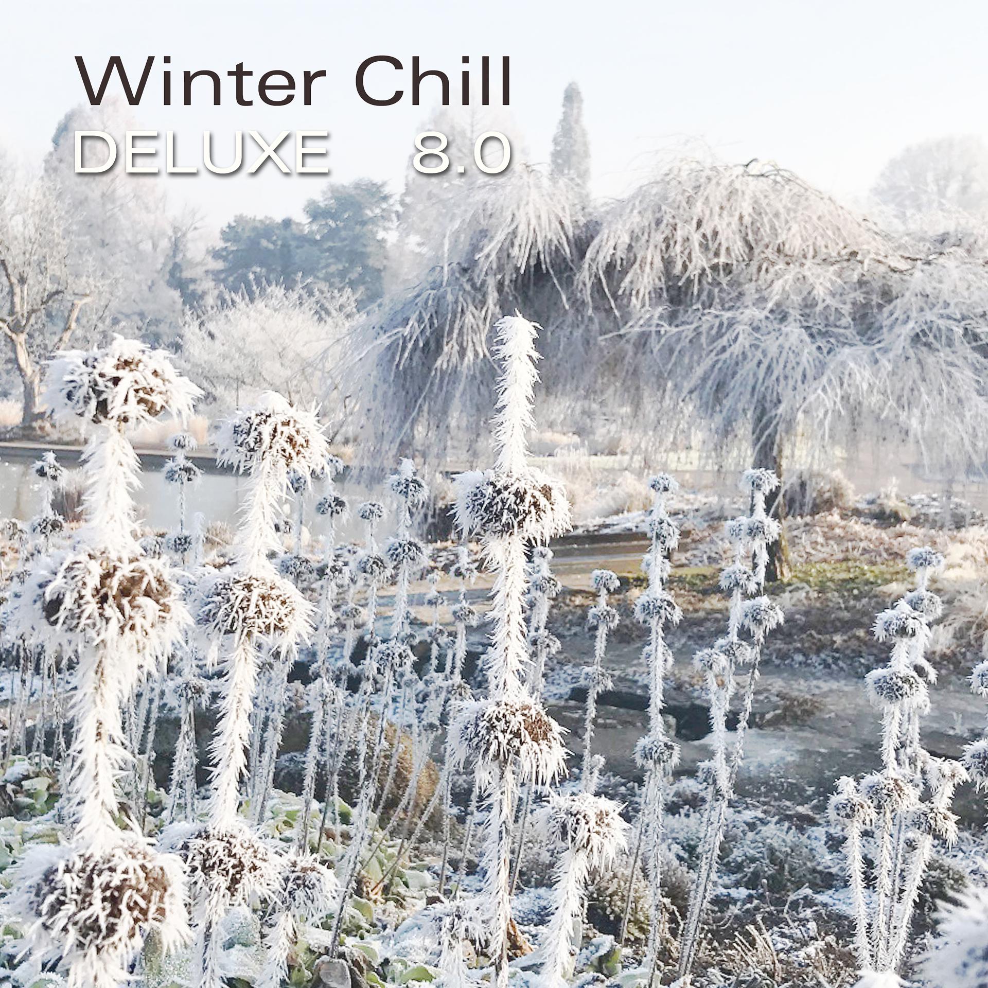 Постер альбома Winter Chill Deluxe 8.0