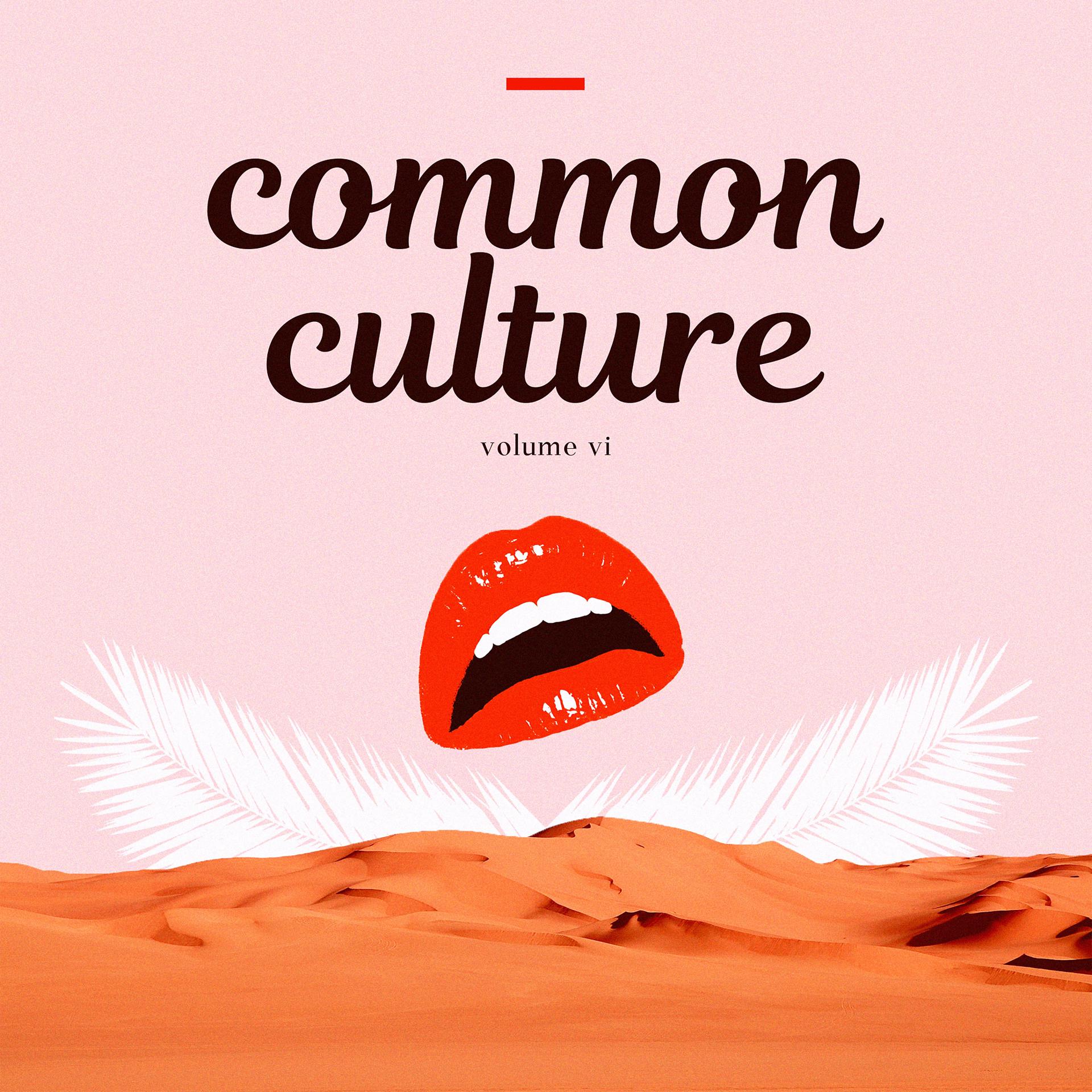 Постер альбома Common Culture, Vol. VI