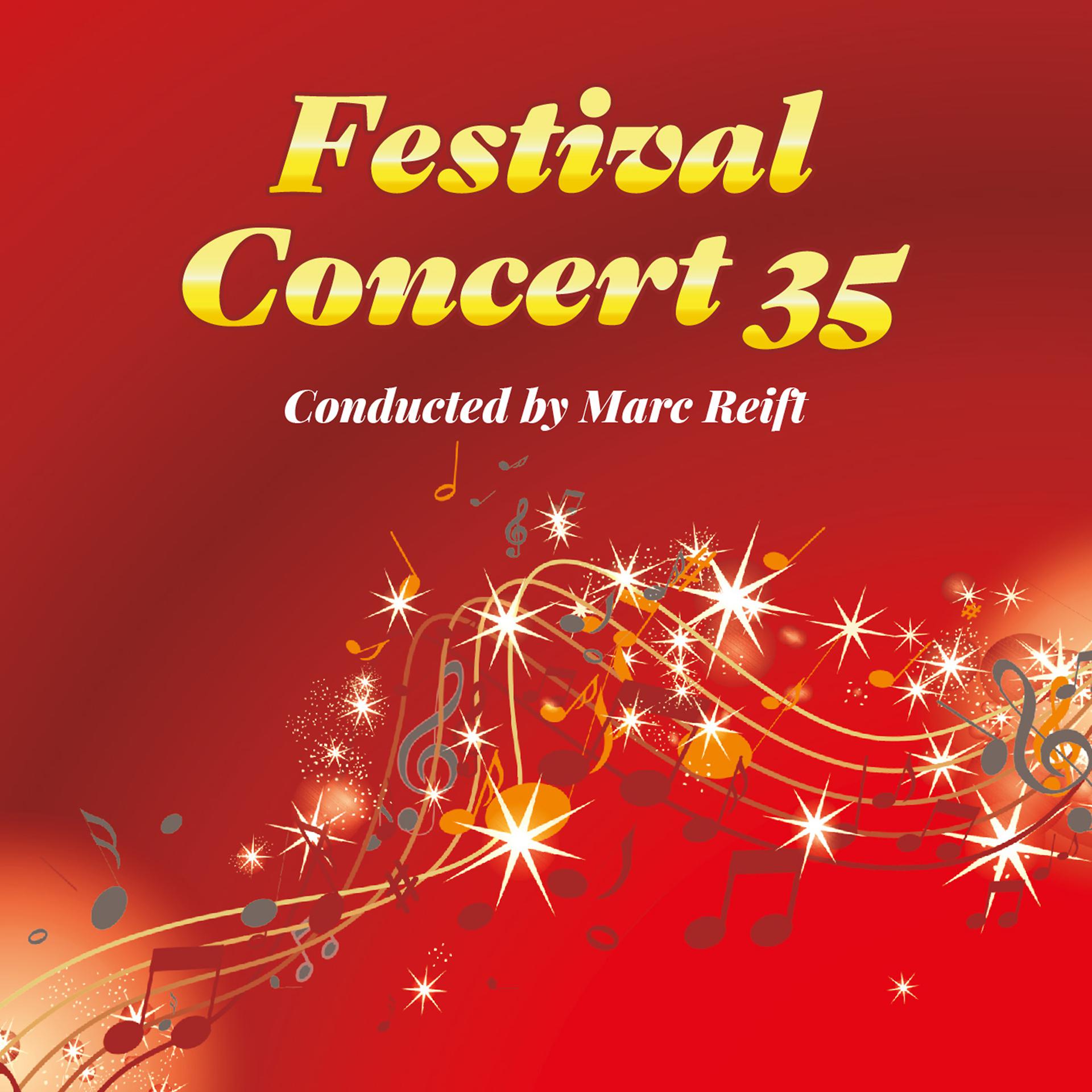Постер альбома Festival Concert 35