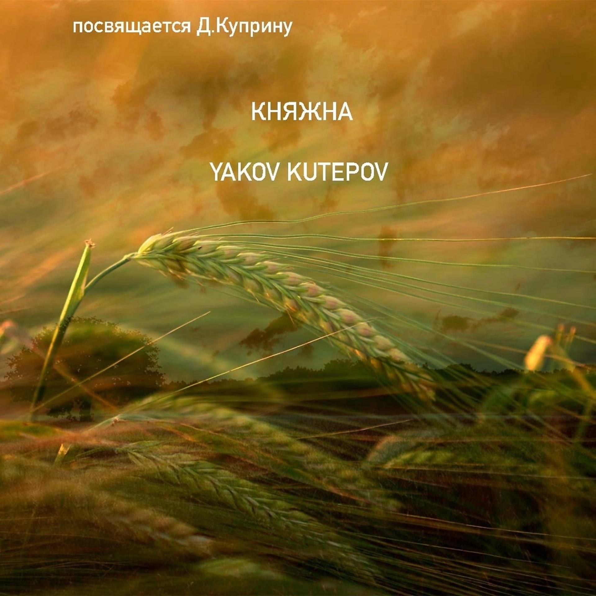 Постер альбома Княжна