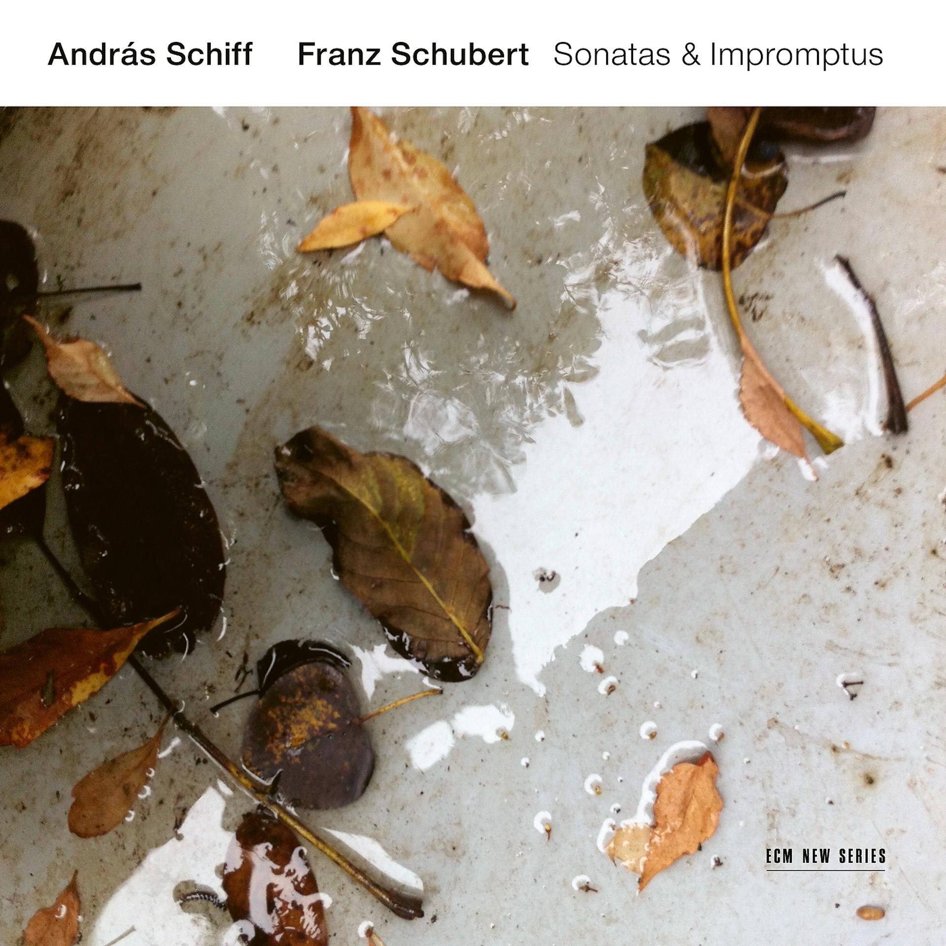 Постер альбома Franz Schubert: Sonatas & Impromptus
