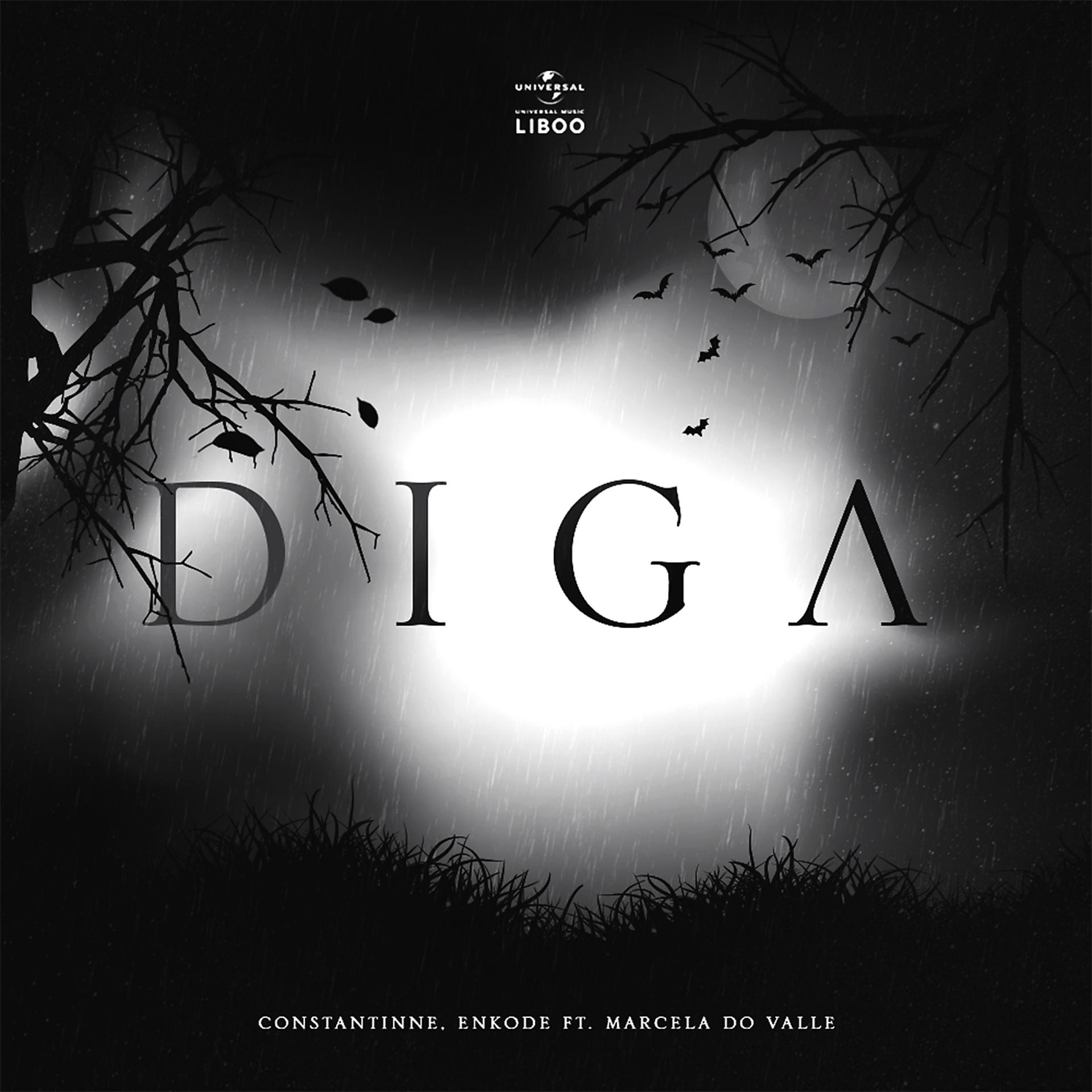 Постер альбома Diga