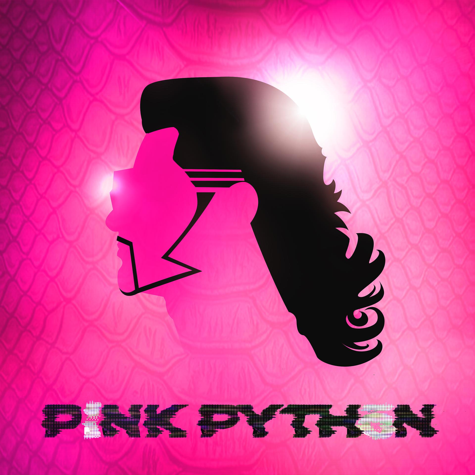 Постер альбома PiNK PYTHON
