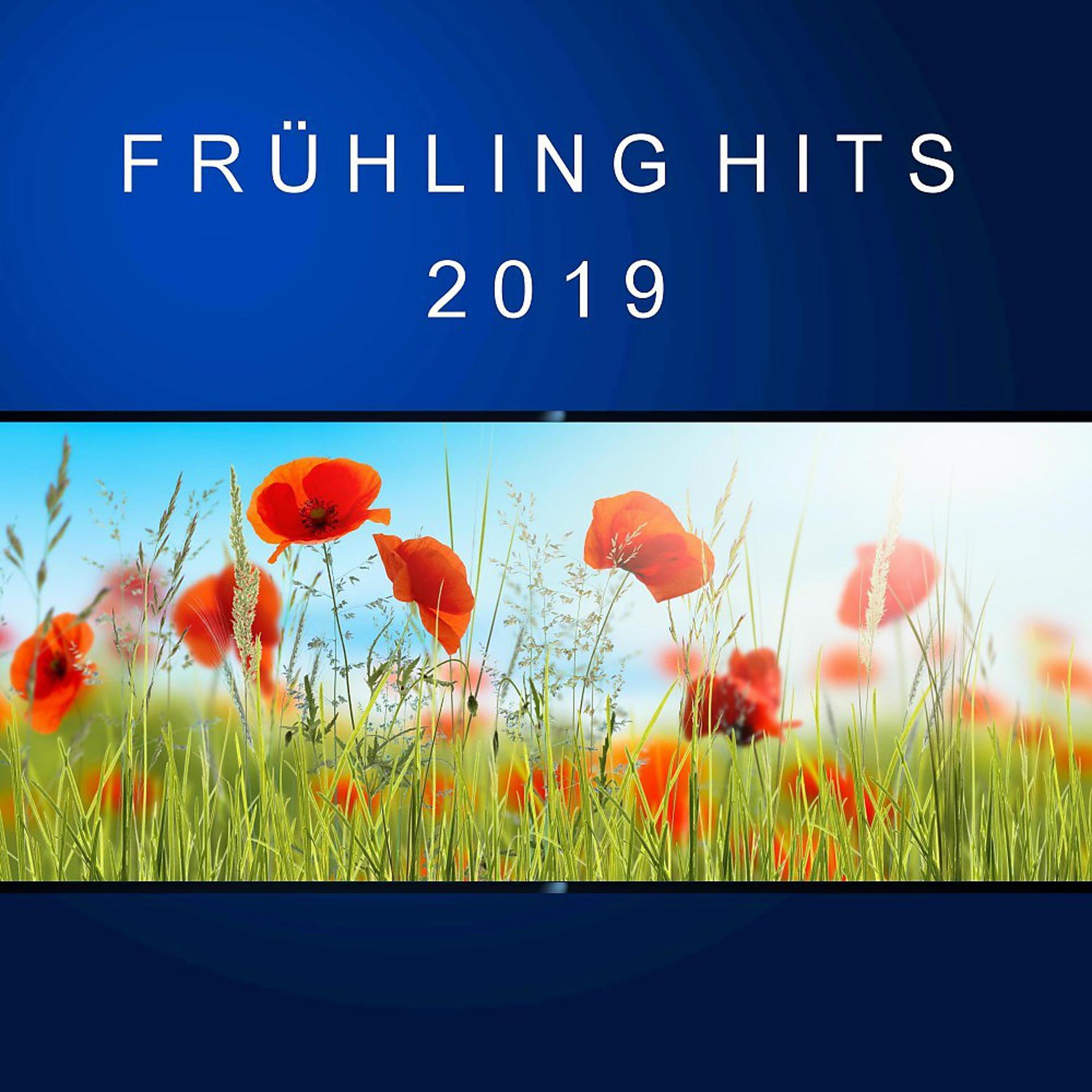 Постер альбома Frühling Hits 2019