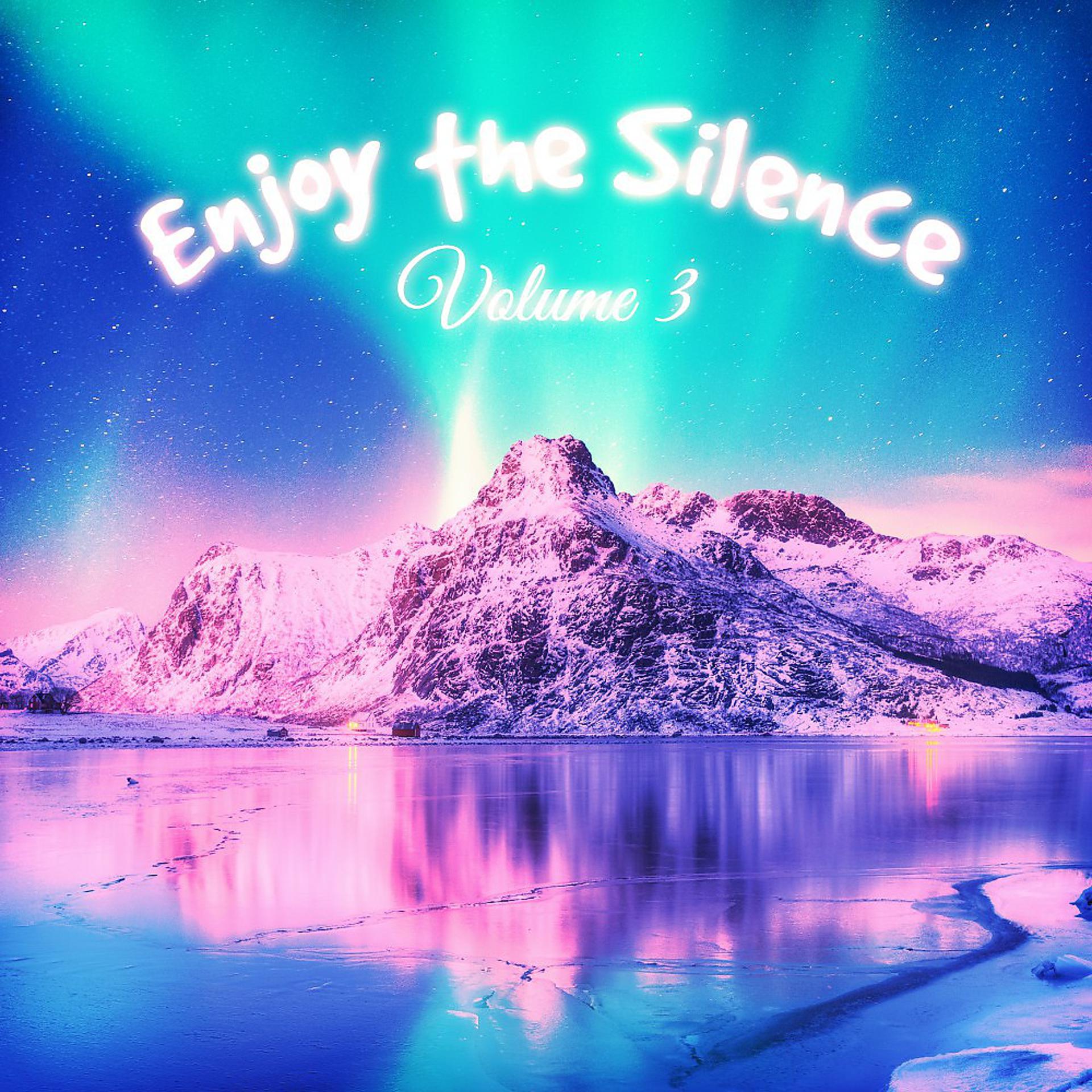 Постер альбома Enjoy the Silence, Vol. 3