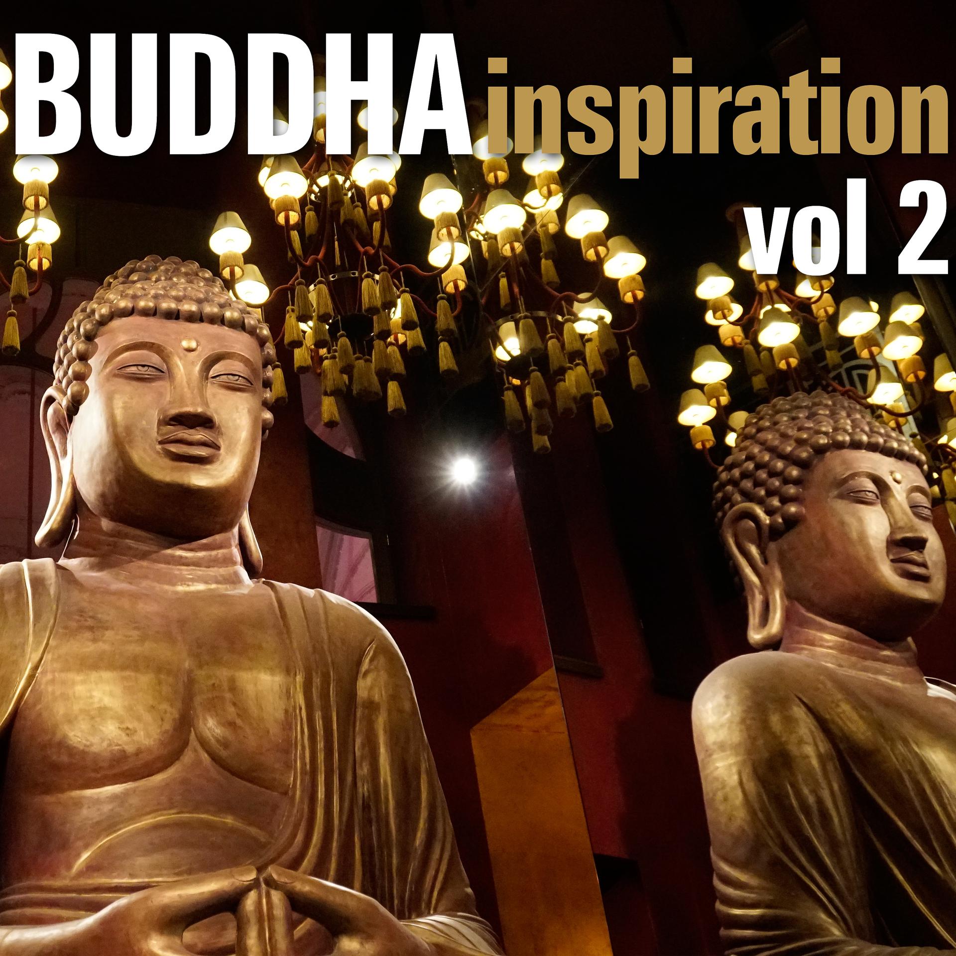 Постер альбома Buddha Inspiration, Vol.2
