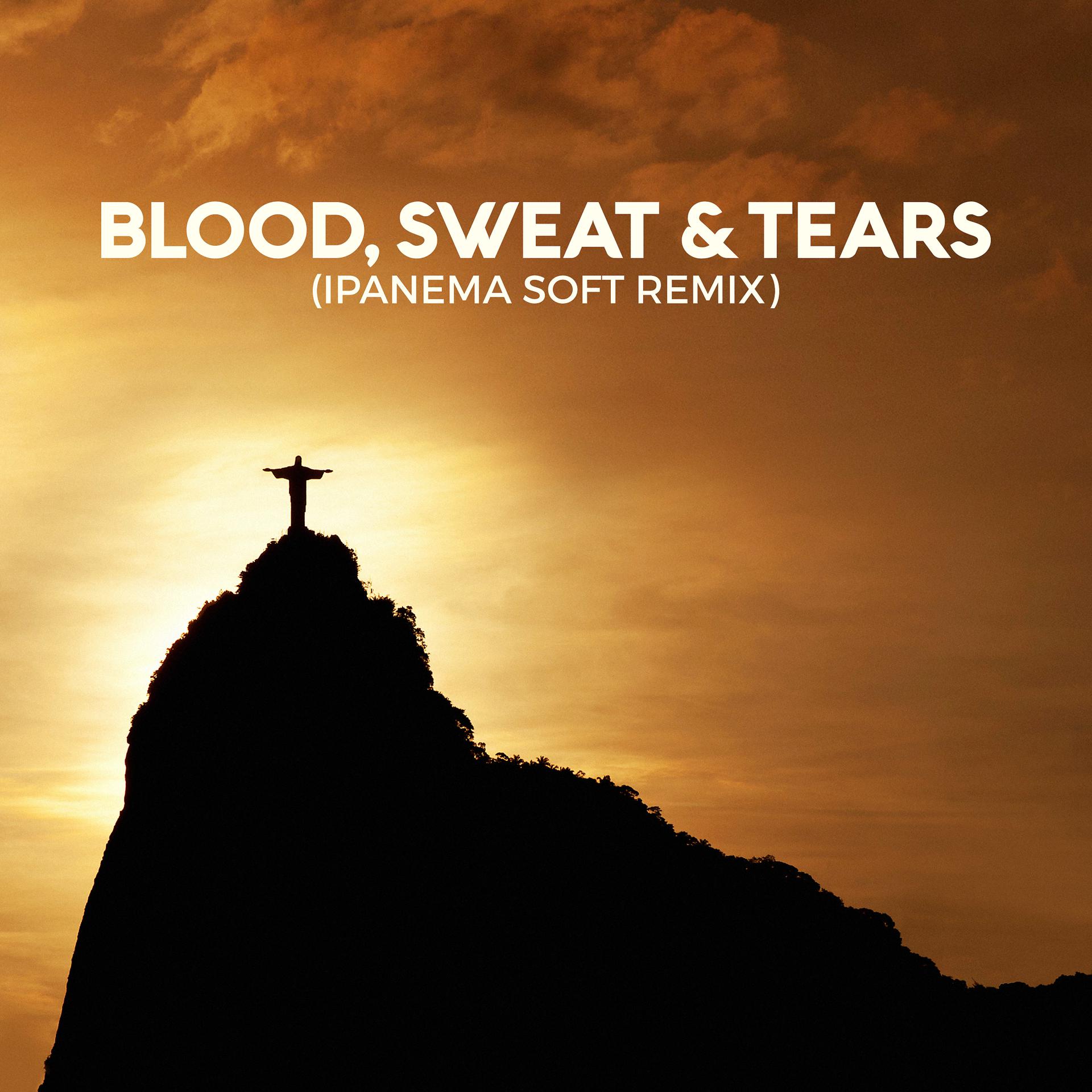 Постер альбома Blood, Sweat & Tears (Ipanema Soft Remix)