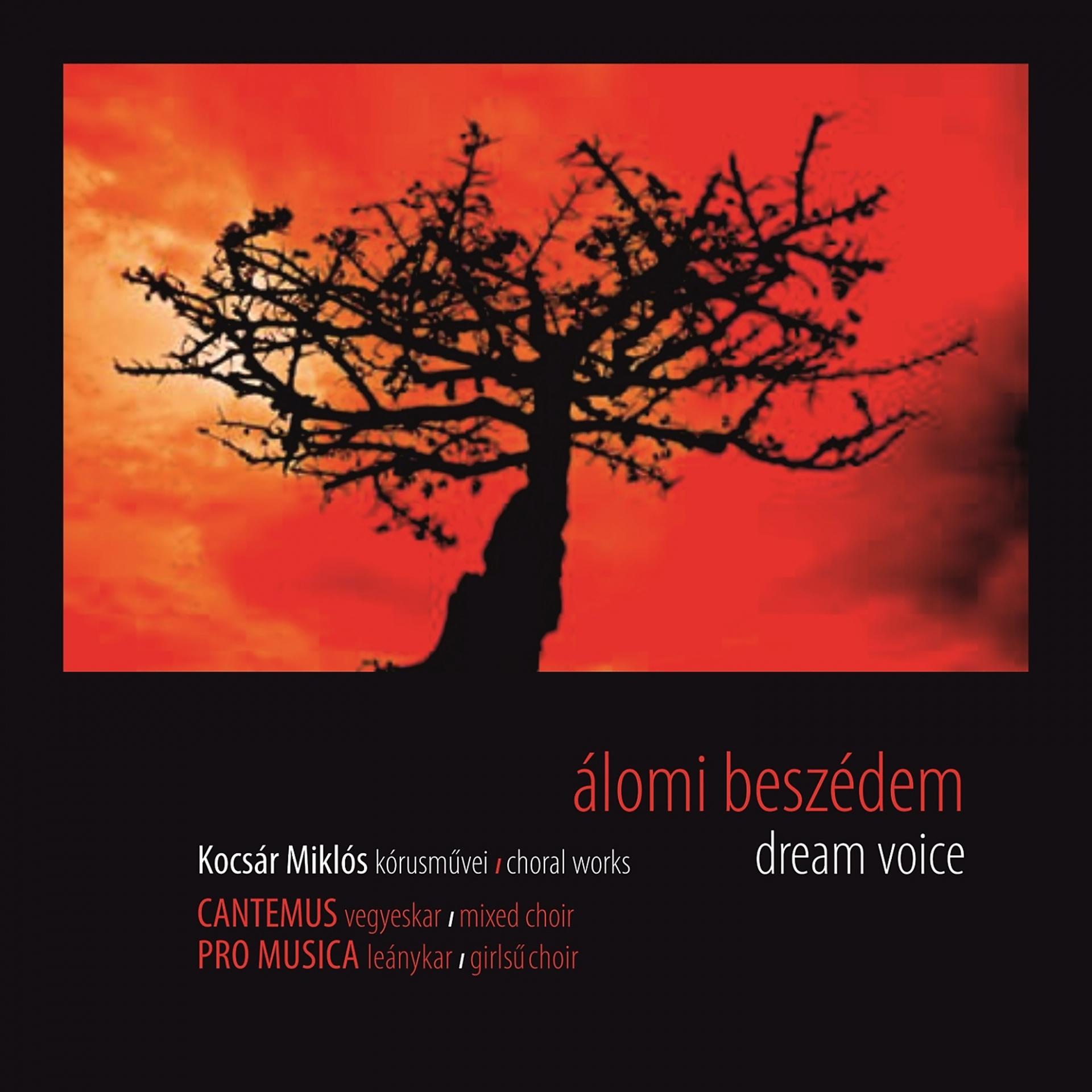 Постер альбома Dream Voice