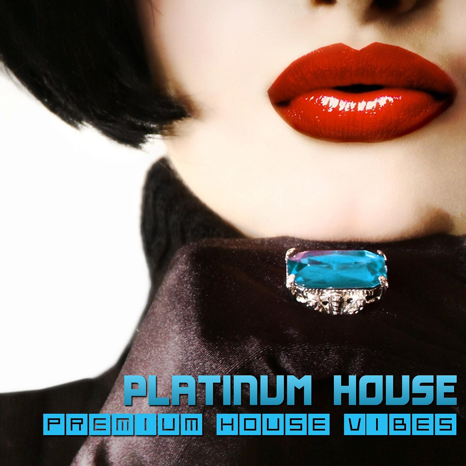 Постер альбома Platinum House - Premium House Vibes