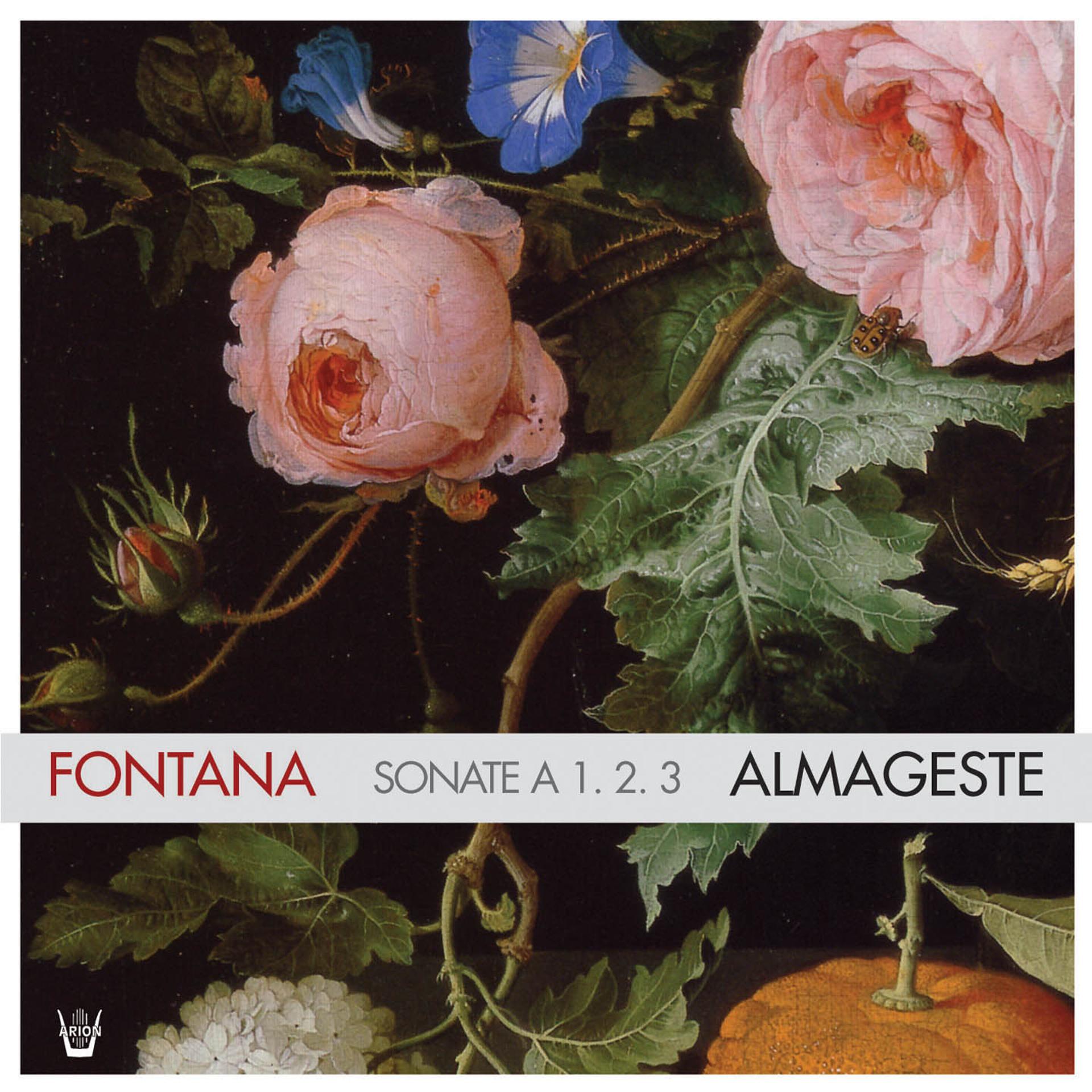 Постер альбома Fontana : Sonate a 1, 2, 3