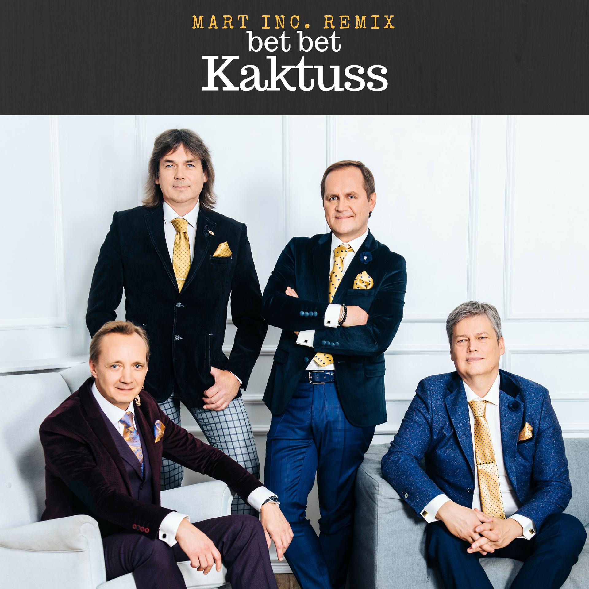 Постер альбома Kaktuss (Remix)