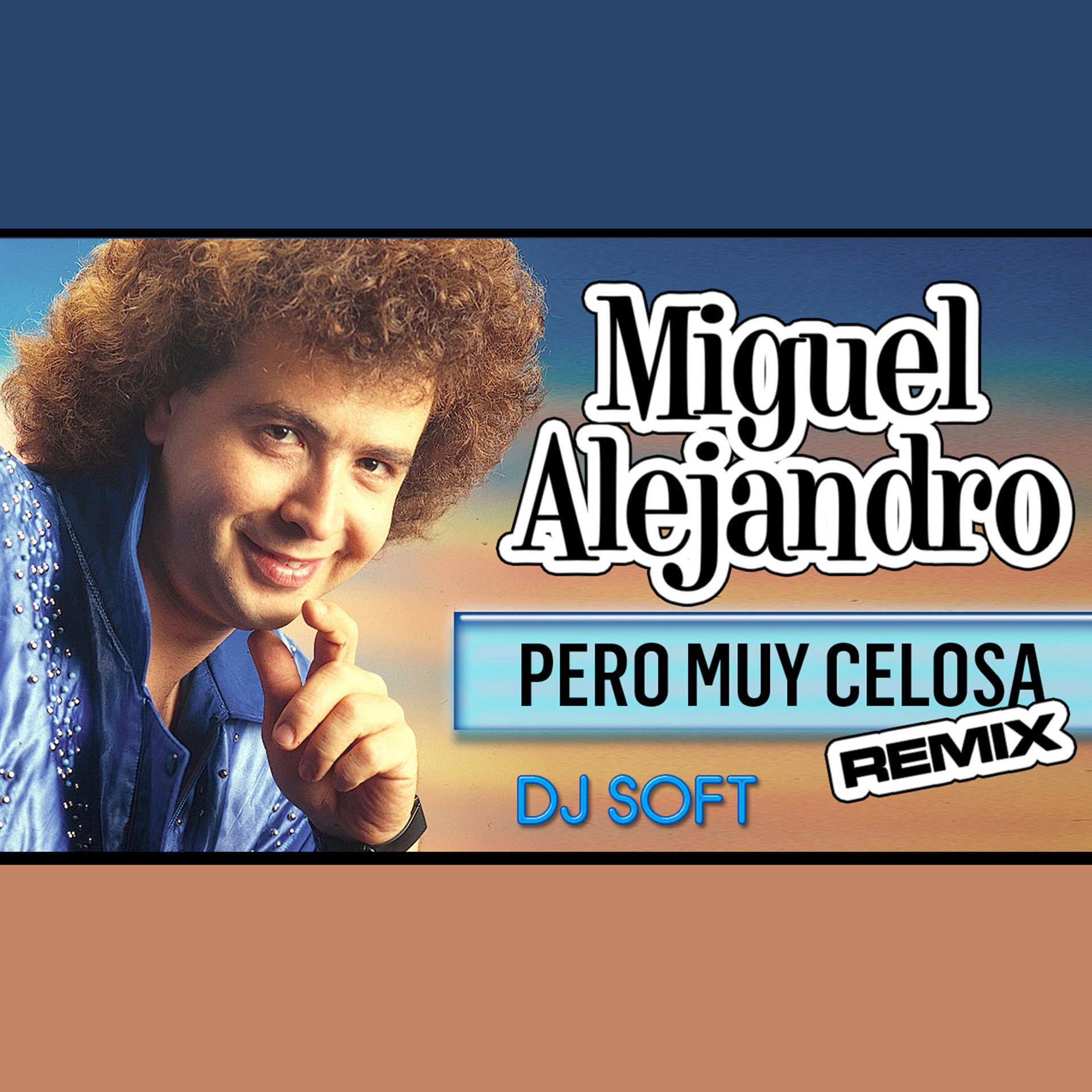 Постер альбома Pero Muy Celosa (Remix)