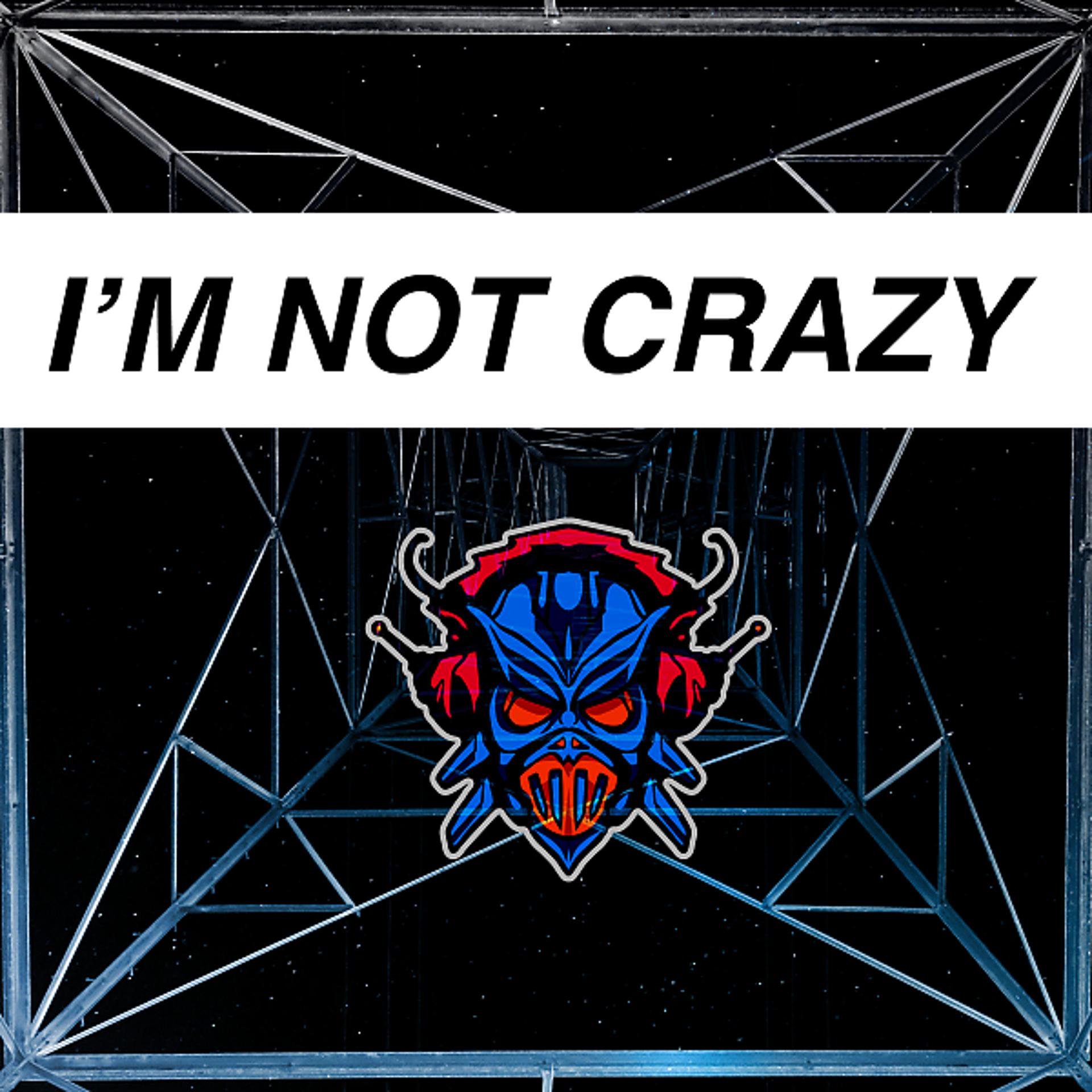 Постер альбома I'm Not Crazy