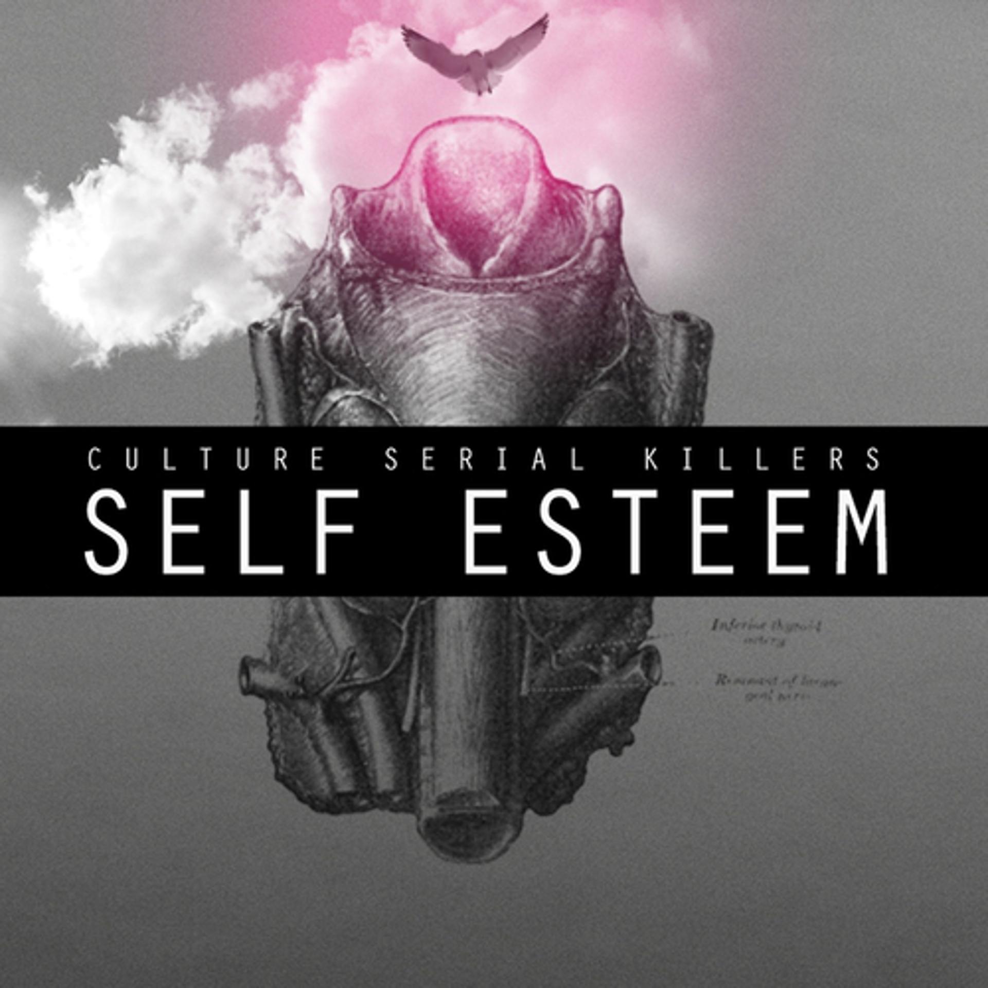 Постер альбома Self Esteem / Basket Case