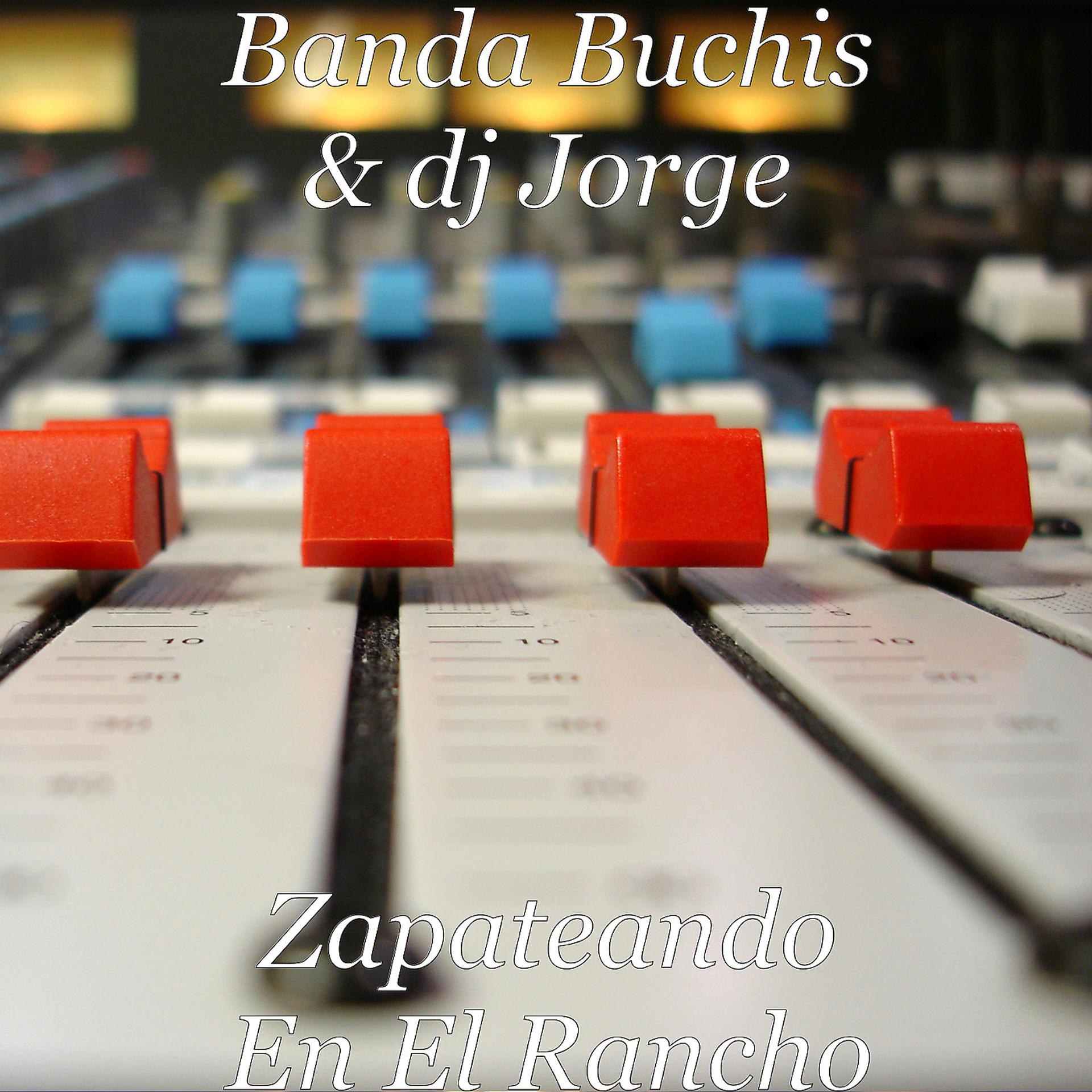 Постер альбома Zapateando en el Rancho