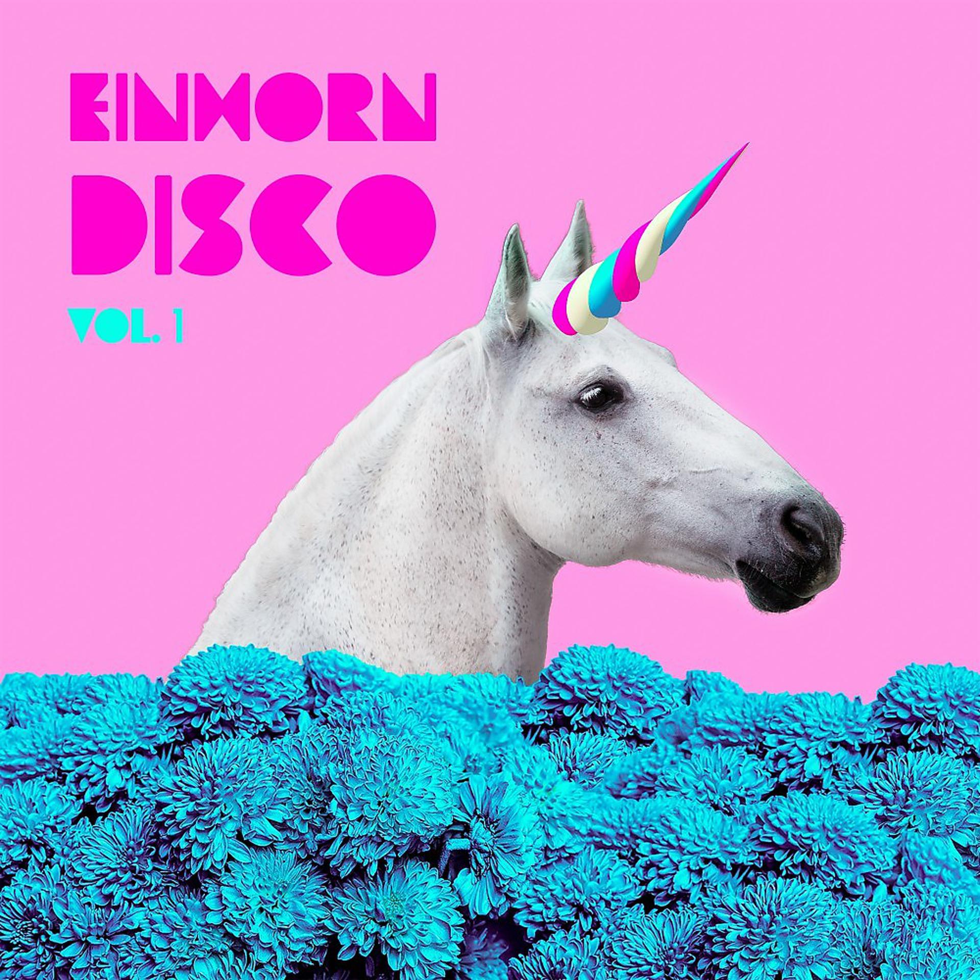 Постер альбома Einhorn Disco, Vol. 1