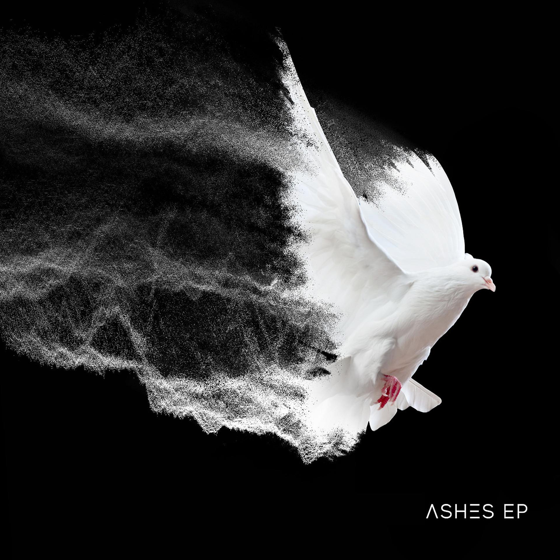 Постер альбома Ashes - EP