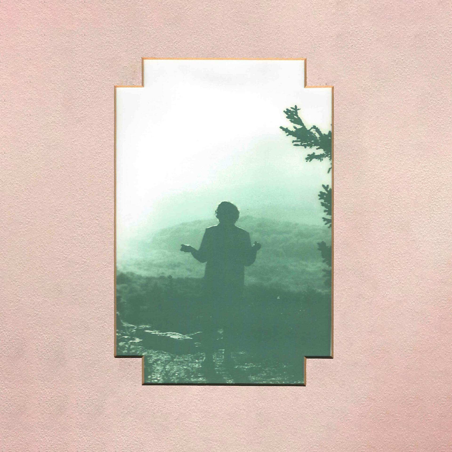 Постер альбома Alone in the Wilderness