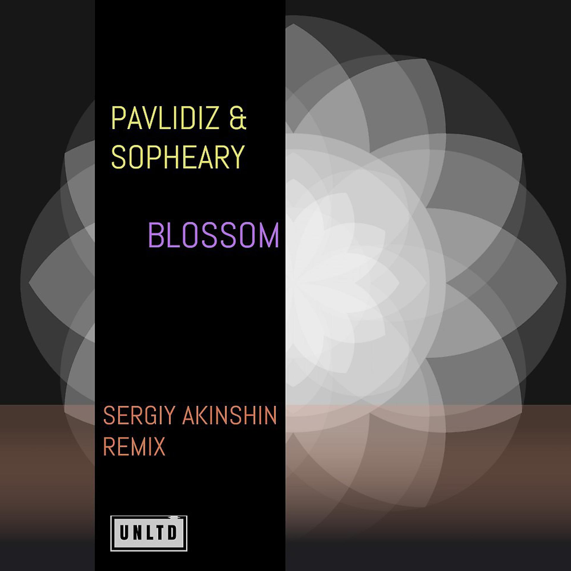 Постер альбома Blossom (Sergiy Akinshin Remix)