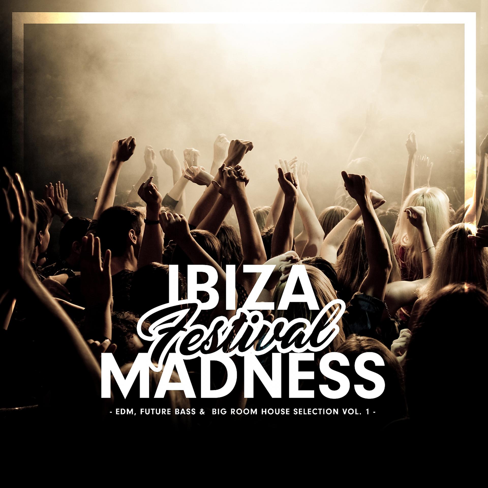 Постер альбома Ibiza Festival Madness, Vol. 1