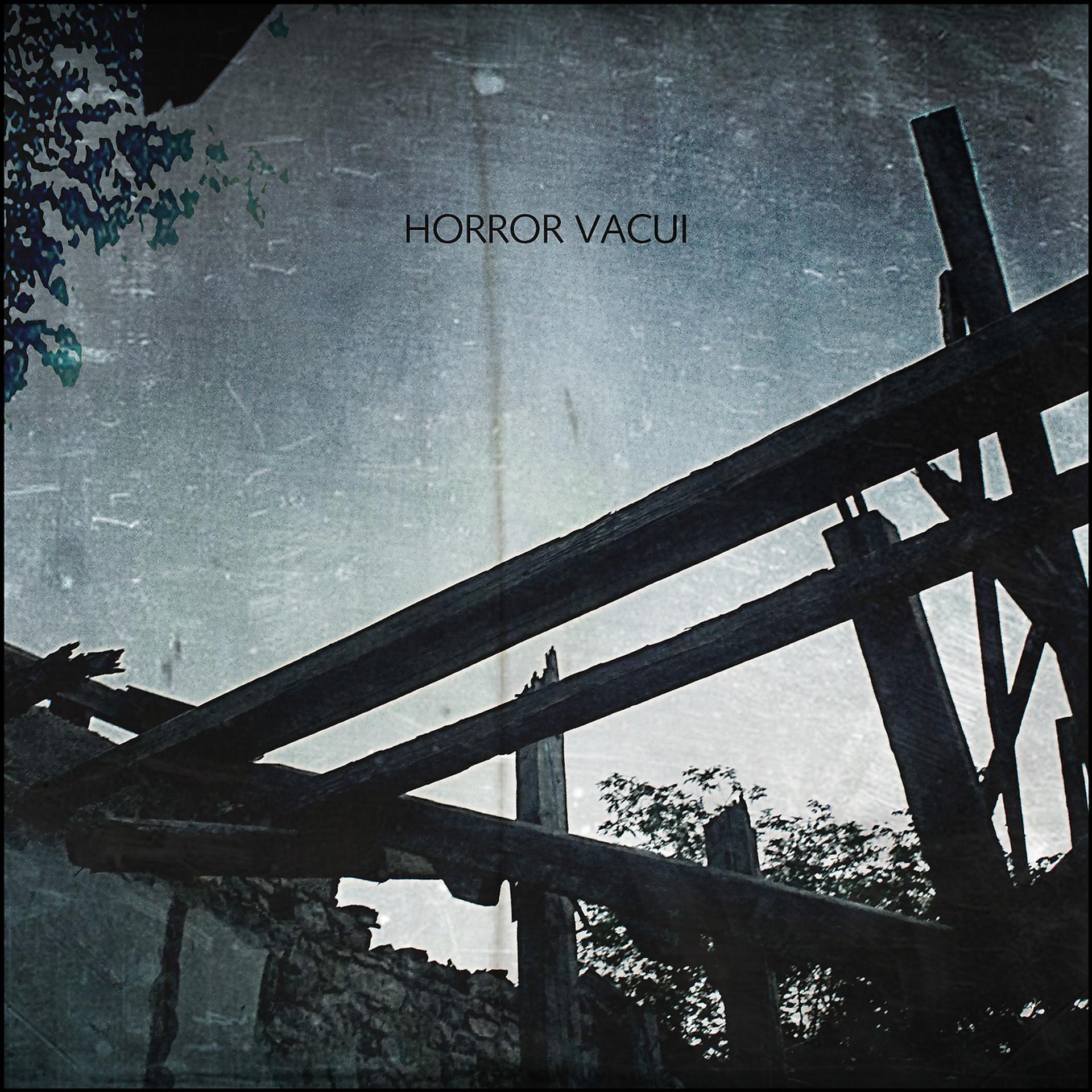 Постер альбома Horror Vacui