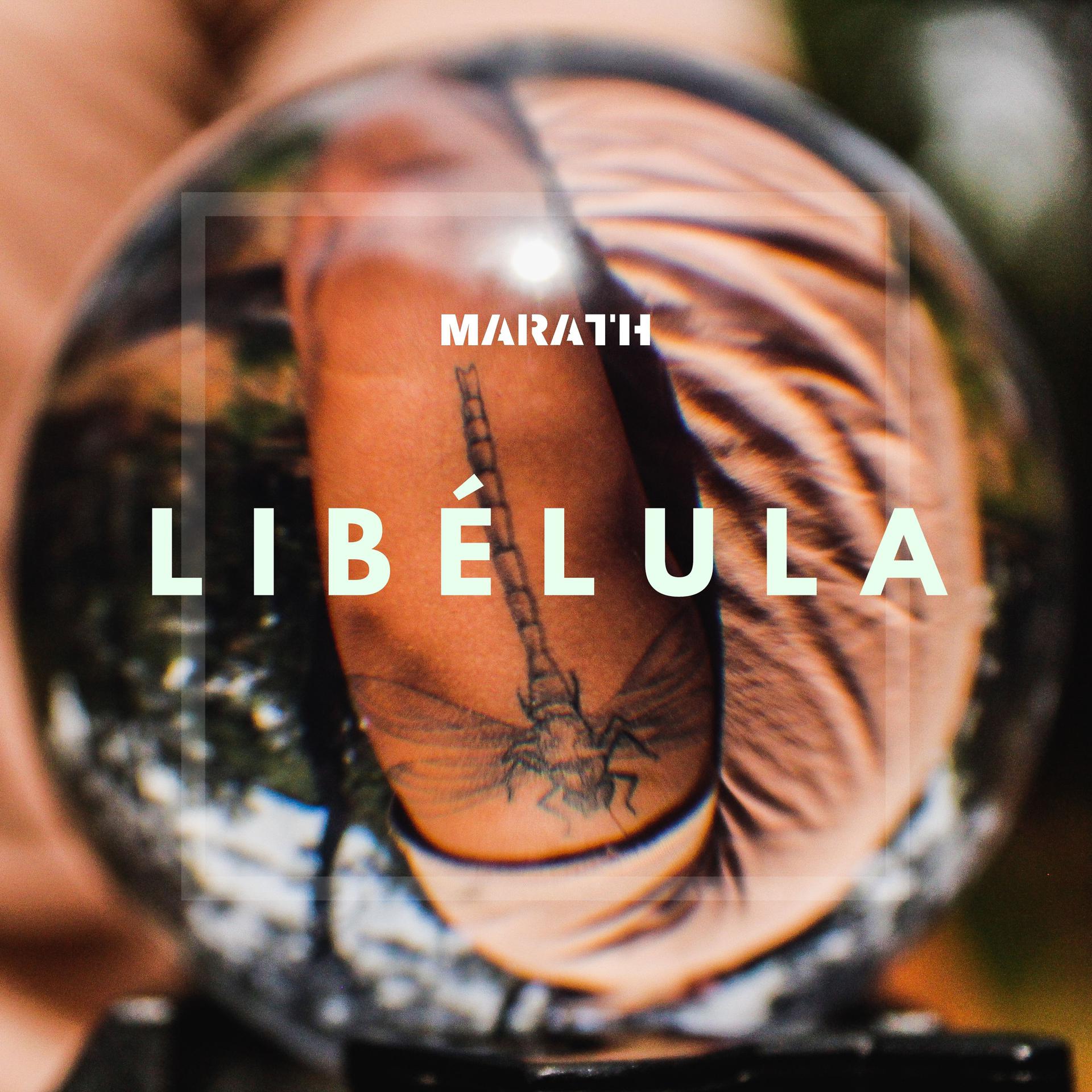 Постер альбома Libélula