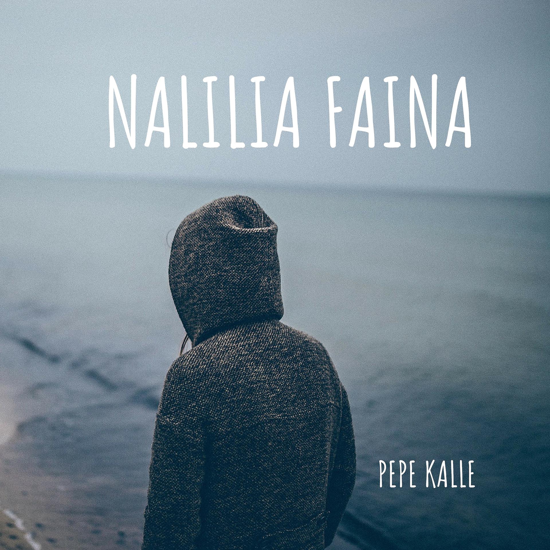 Постер альбома Nalilia Faina