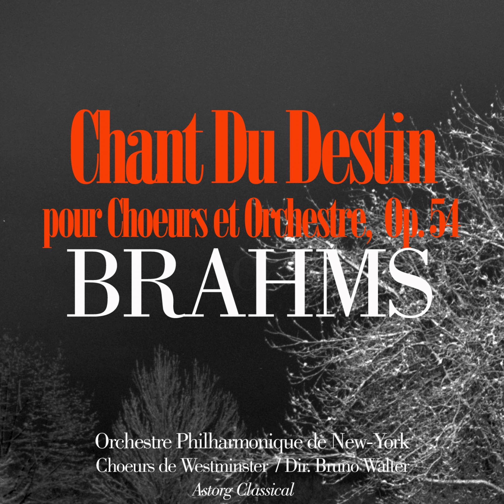 Постер альбома Brahms: Chant du destin, Op. 54 pour choeurs et orchestre